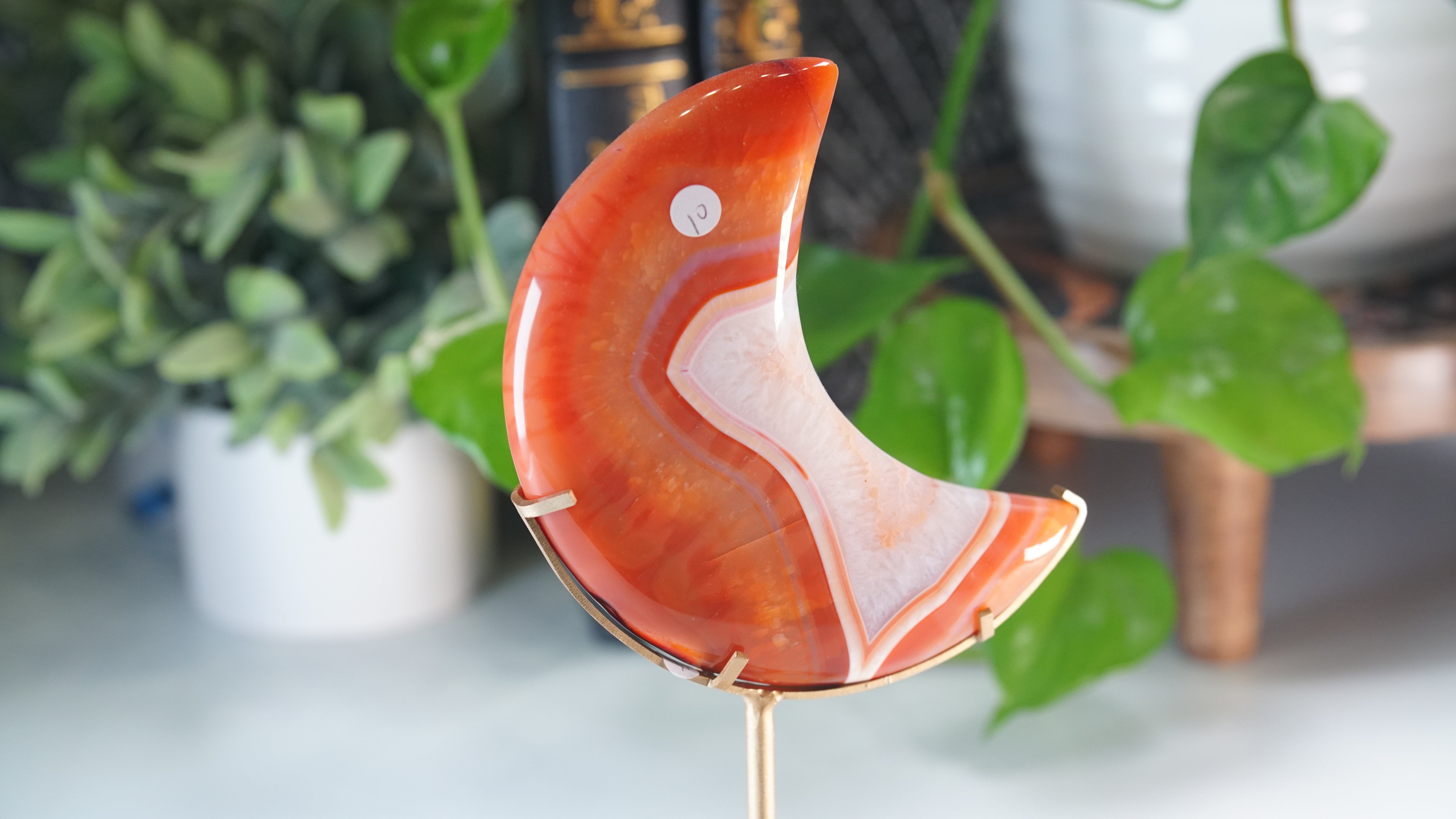 Carnelian Agate & Quartz Moon With Free Custom Stand