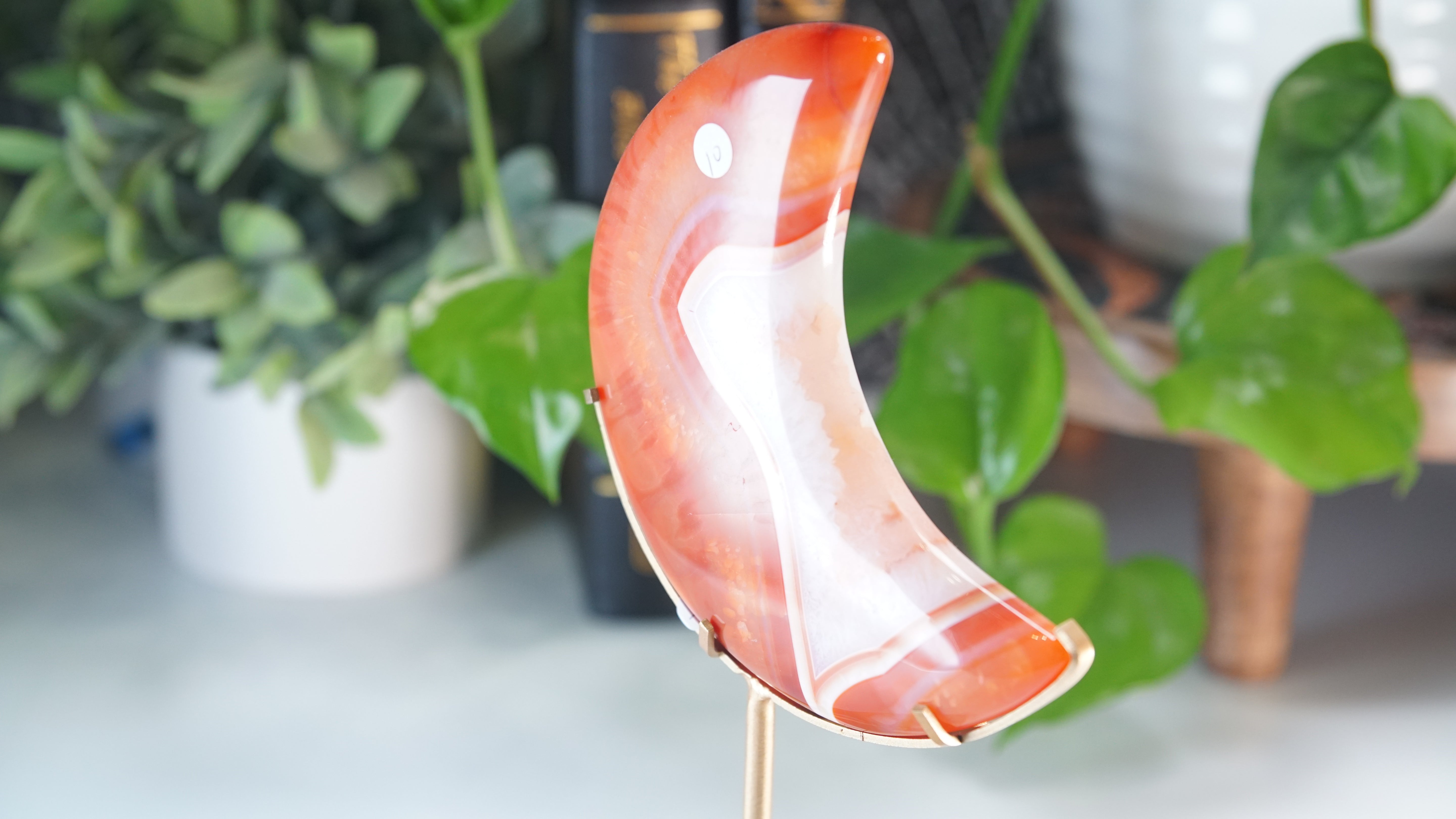 Carnelian Agate & Quartz Moon With Free Custom Stand