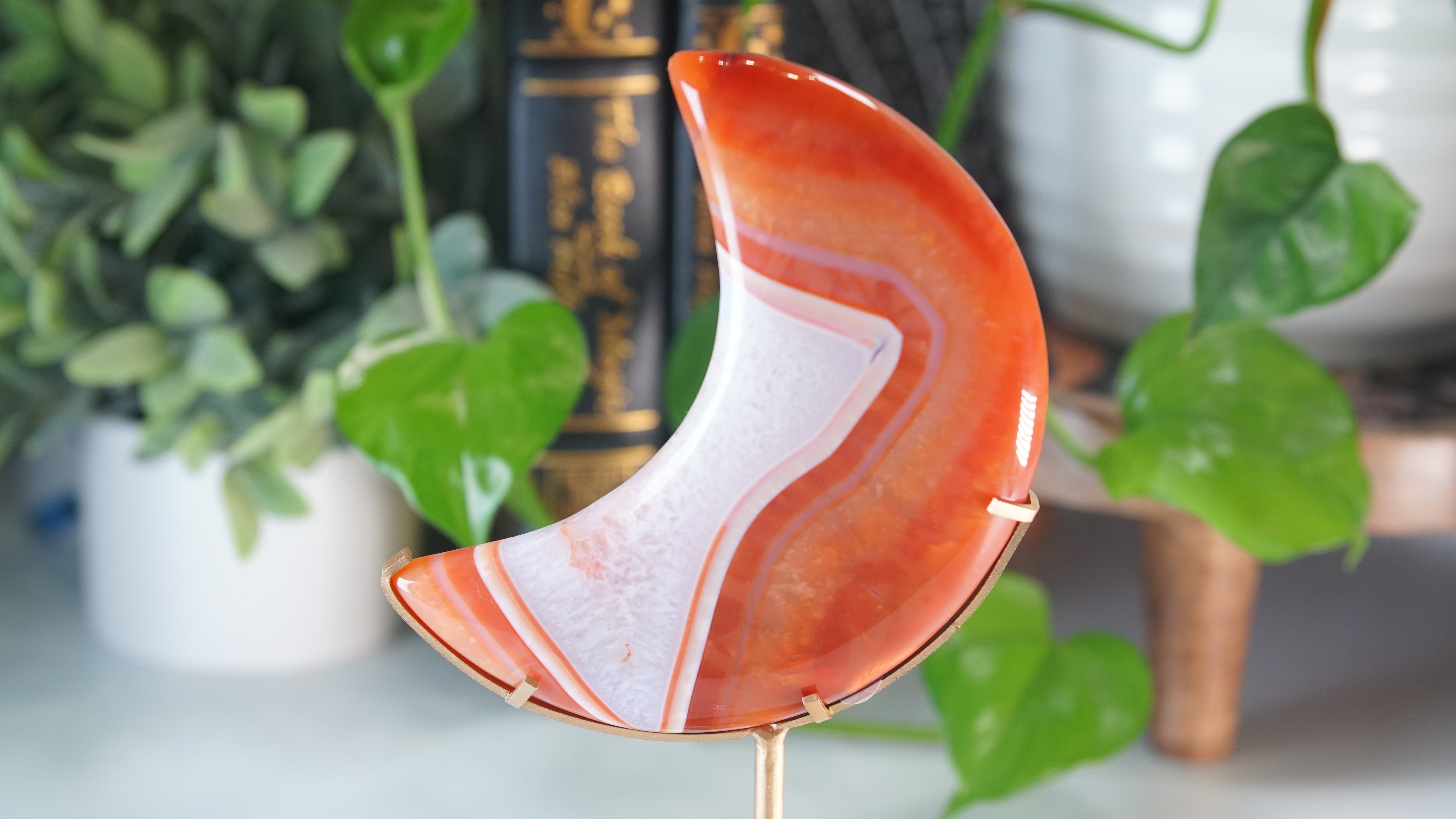 Carnelian Agate & Quartz Moon With Free Custom Stand