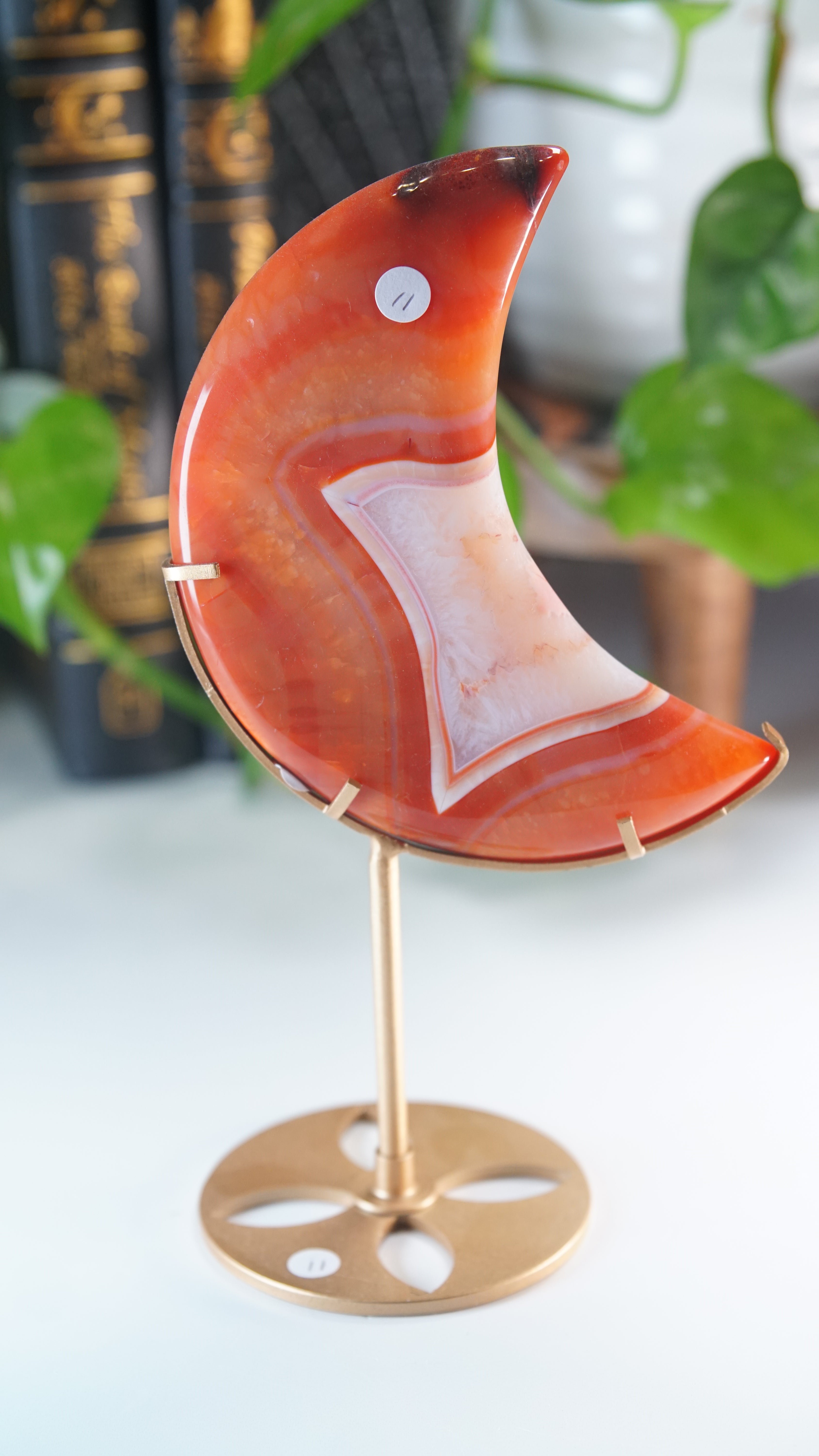 Carnelian Agate & Quartz Moon With Free Custom Stand