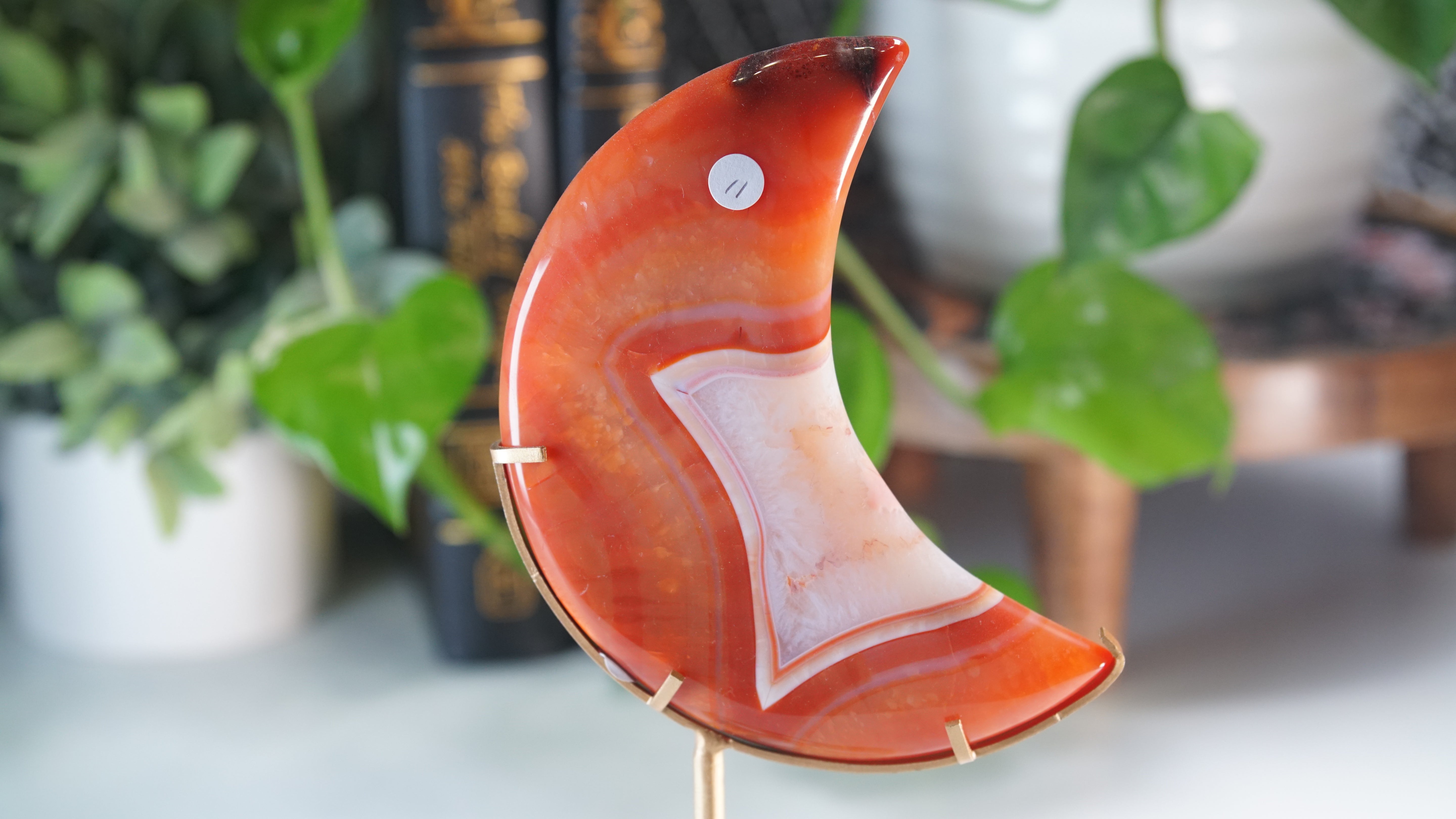 Carnelian Agate & Quartz Moon With Free Custom Stand