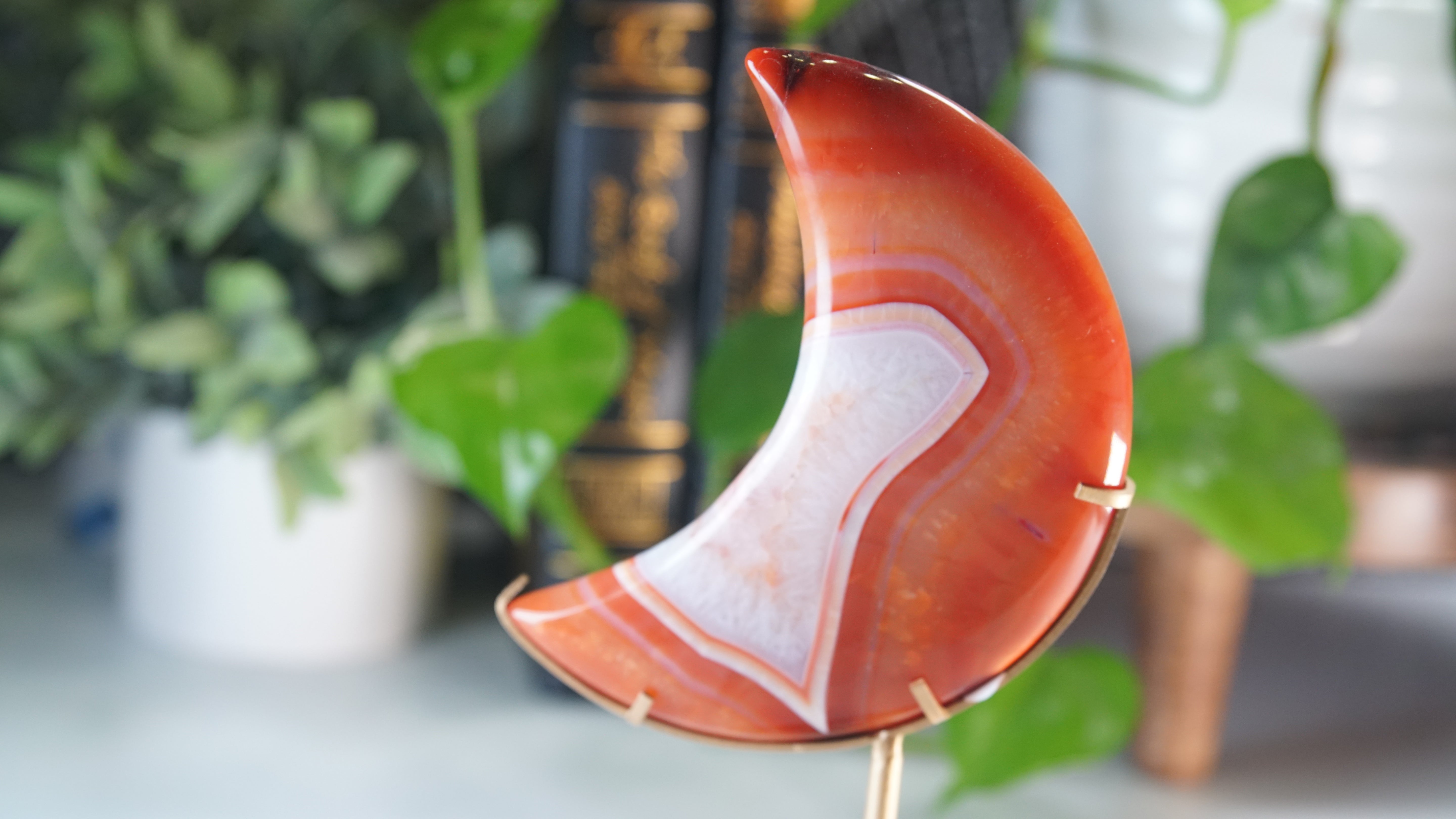 Carnelian Agate & Quartz Moon With Free Custom Stand
