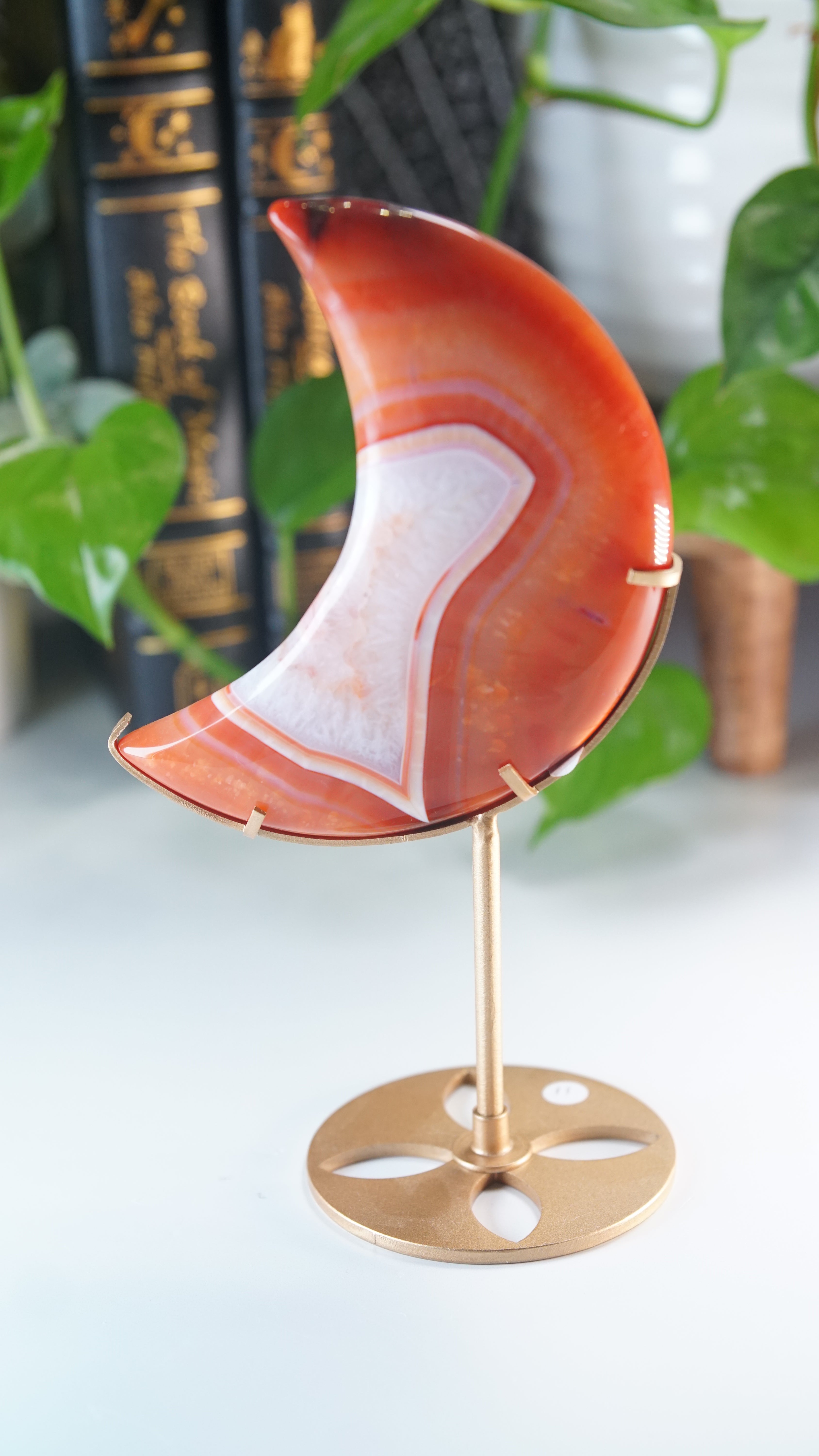 Carnelian Agate & Quartz Moon With Free Custom Stand