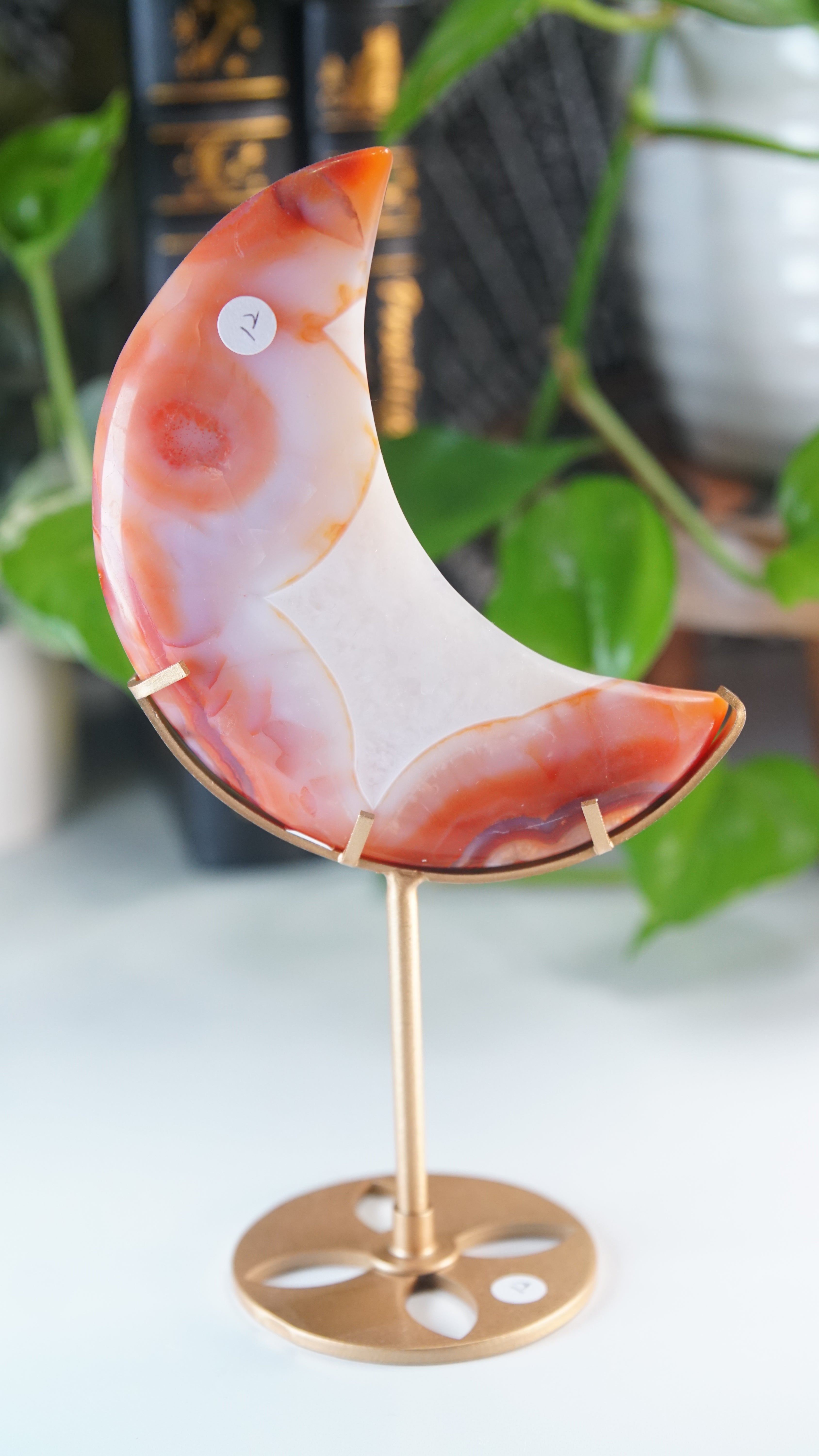 Carnelian Agate & Quartz Moon With Free Custom Stand