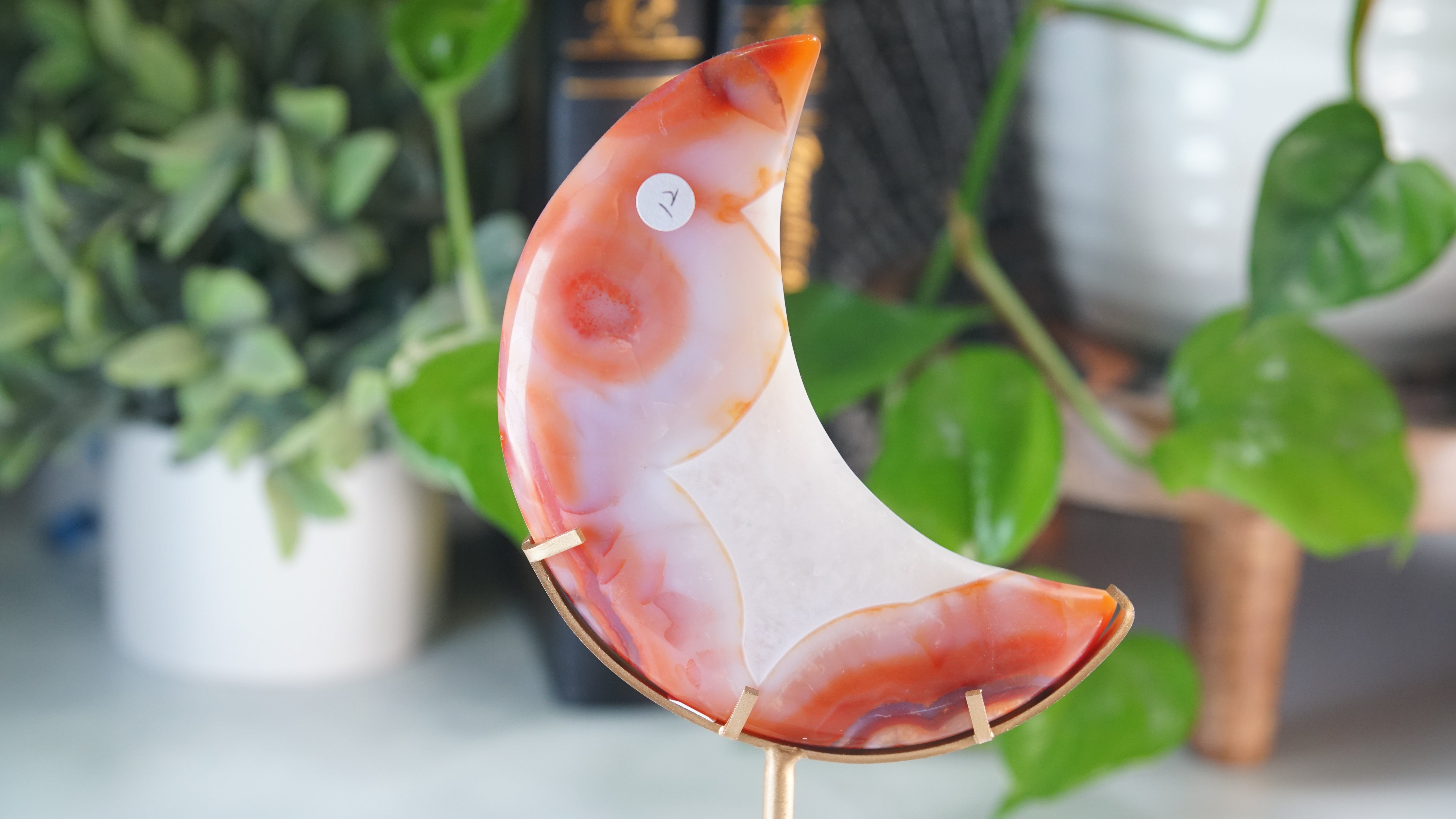 Carnelian Agate & Quartz Moon With Free Custom Stand