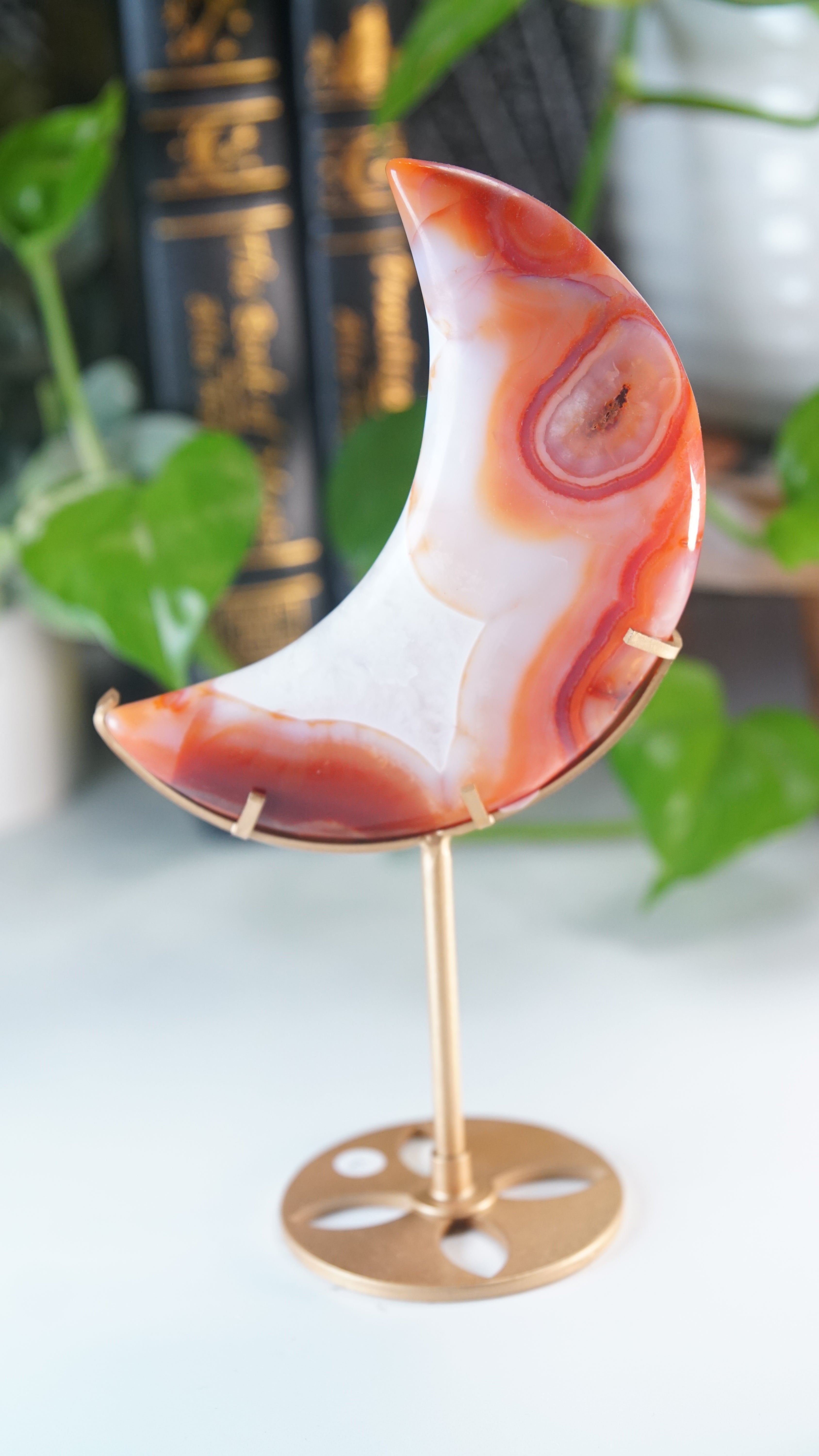 Carnelian Agate & Quartz Moon With Free Custom Stand
