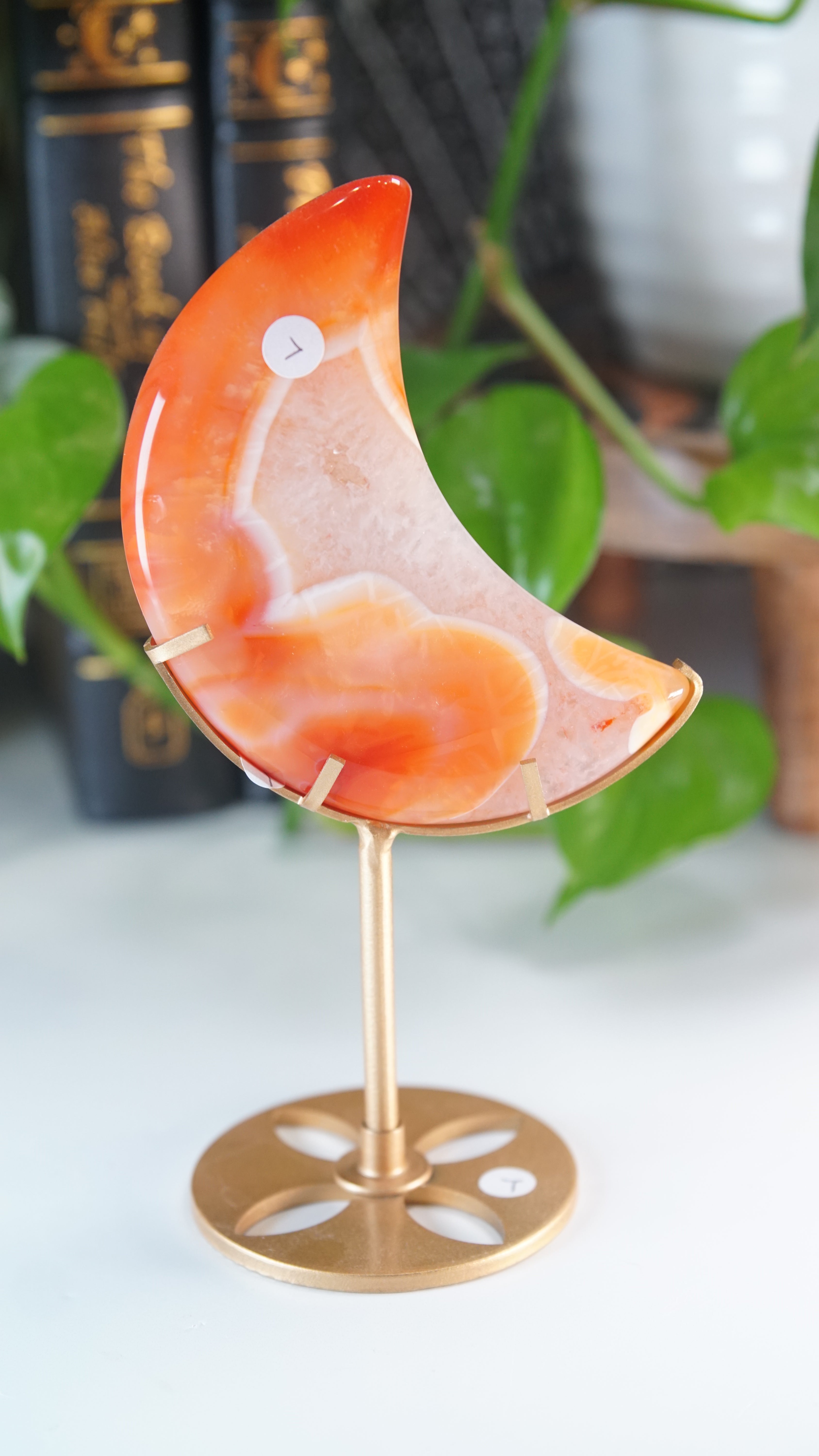 Carnelian Agate & Quartz Moon With Free Custom Stand