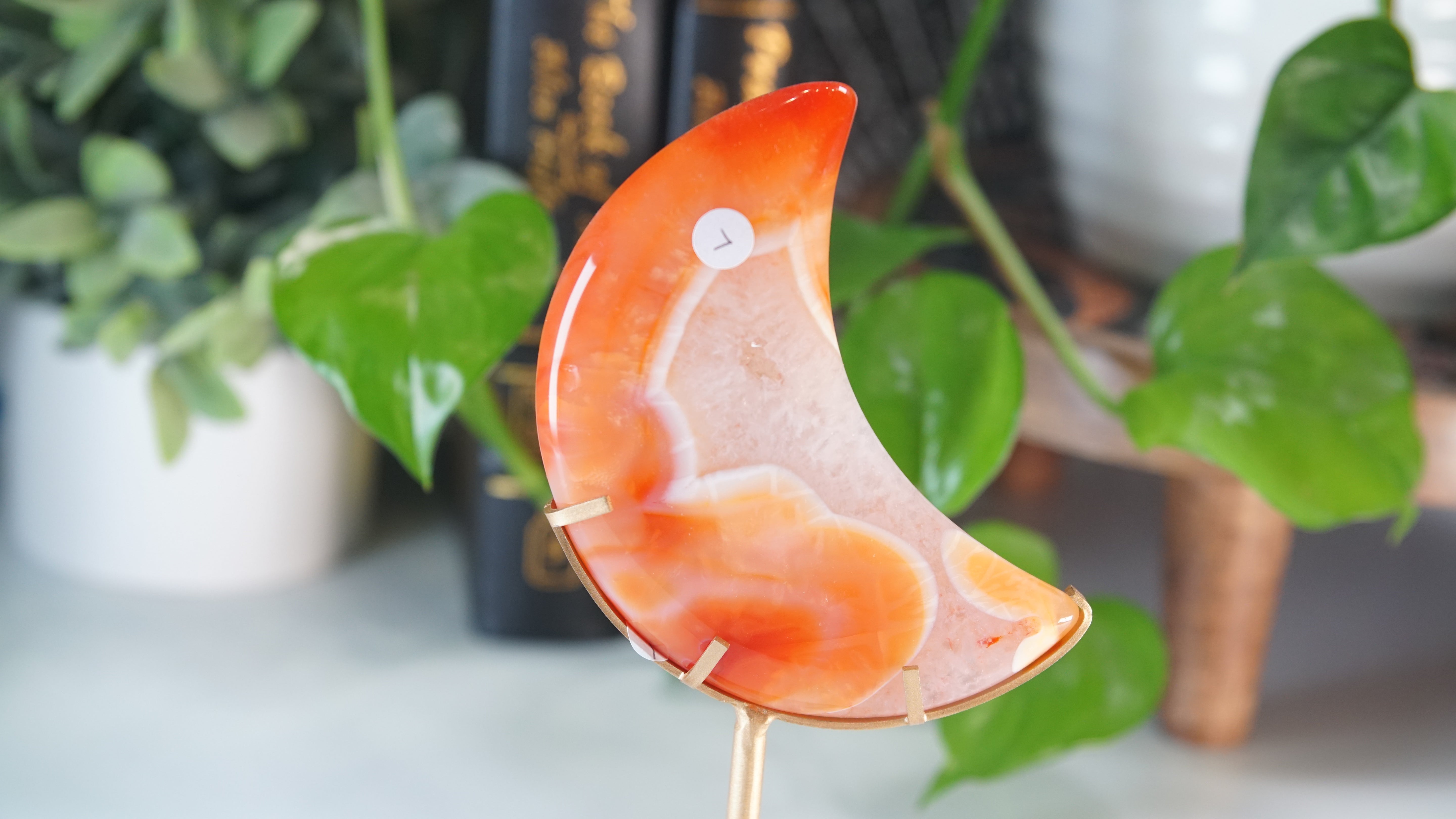 Carnelian Agate & Quartz Moon With Free Custom Stand