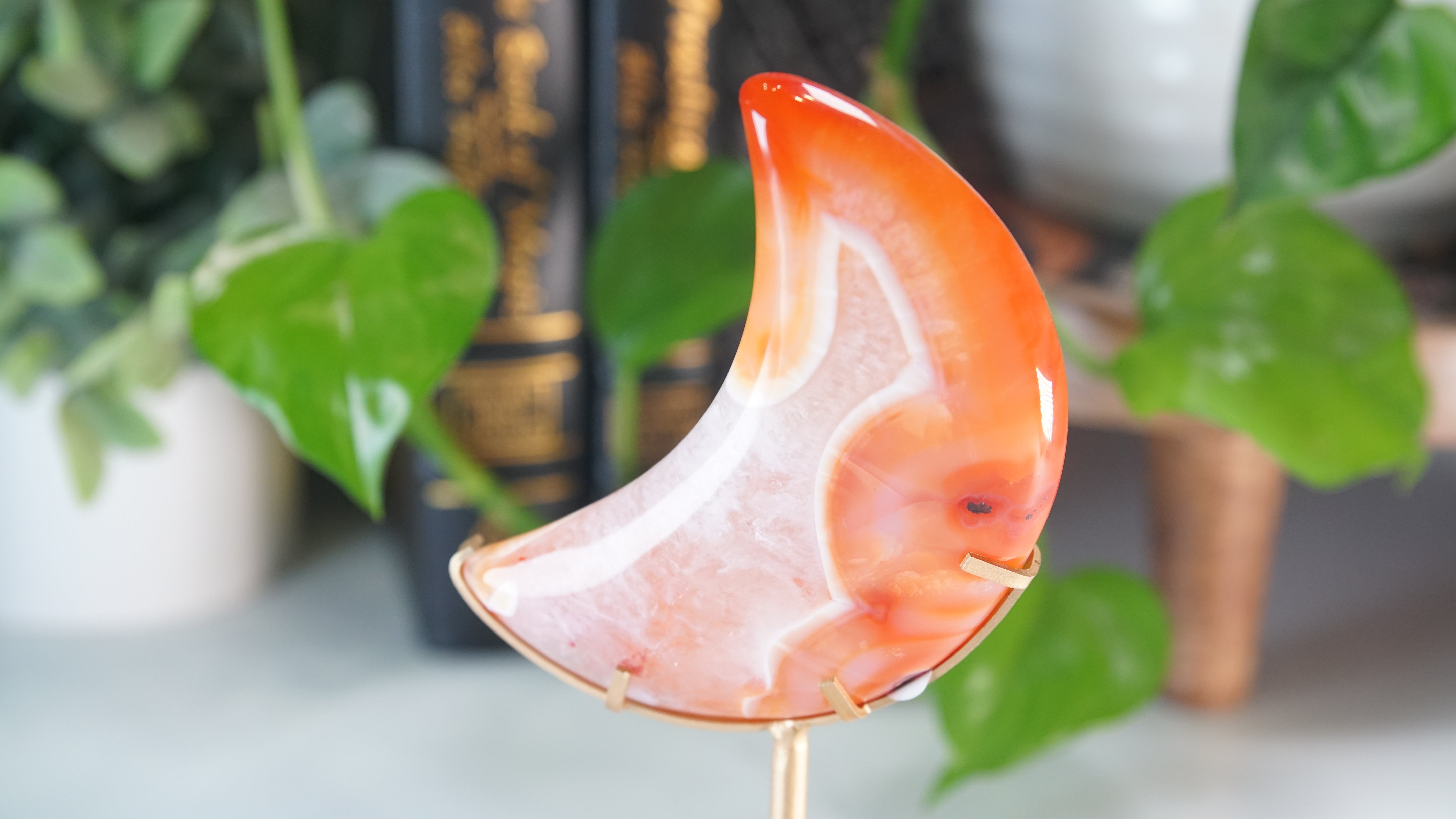 Carnelian Agate & Quartz Moon With Free Custom Stand