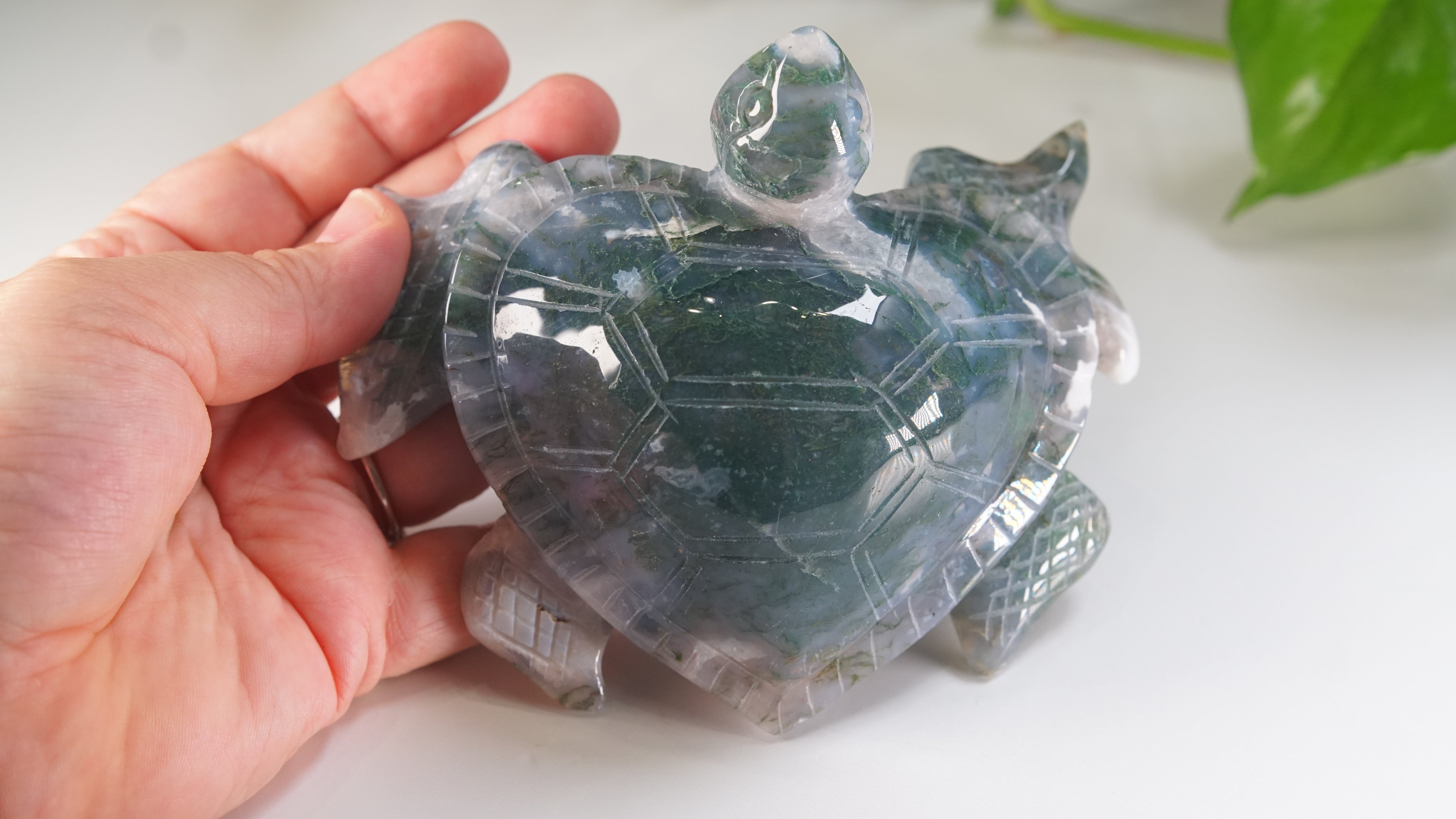 Moss Agate Sea Turtle | Crystal Carving Statement Piece