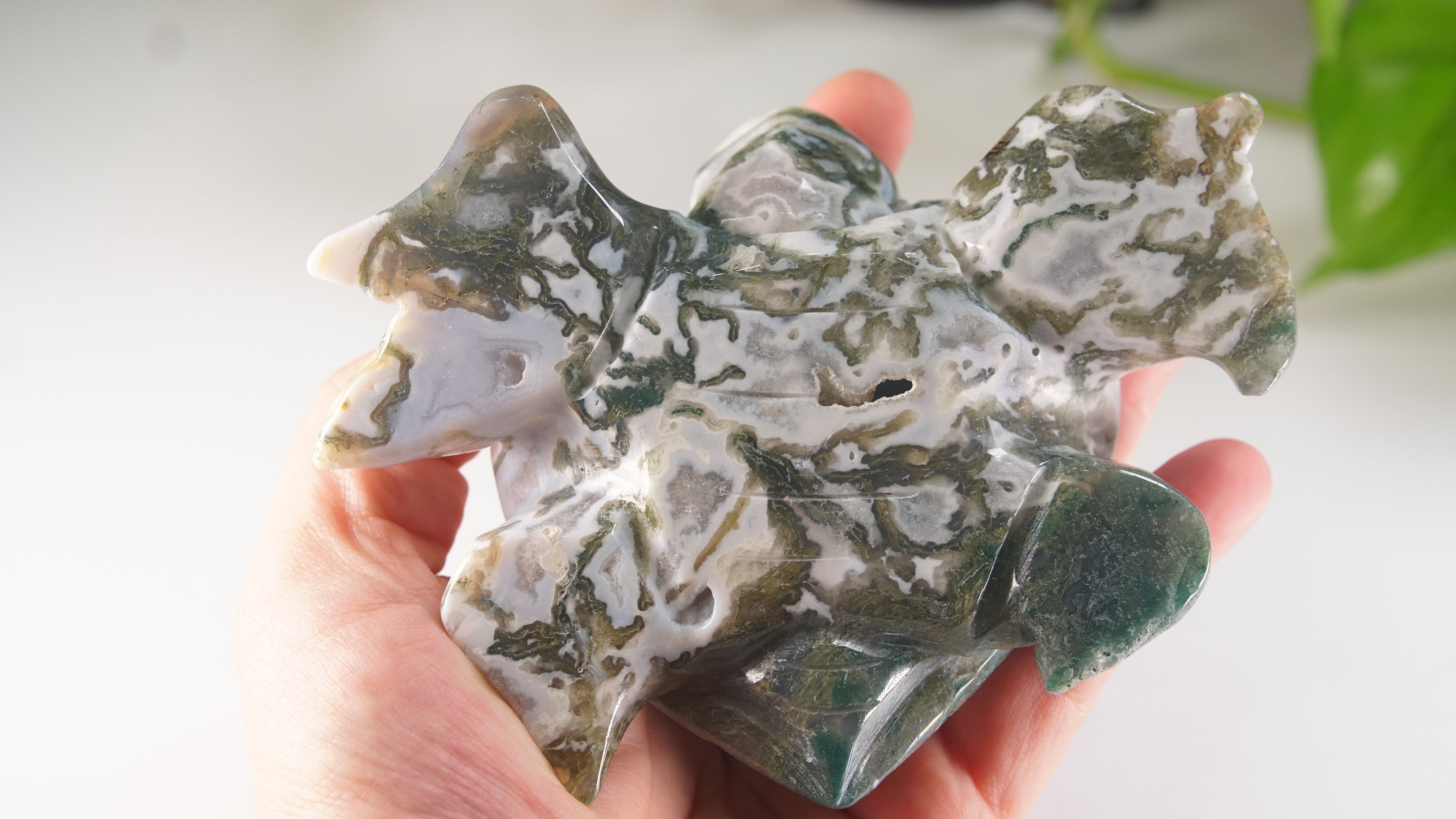 Moss Agate Sea Turtle | Crystal Carving Statement Piece