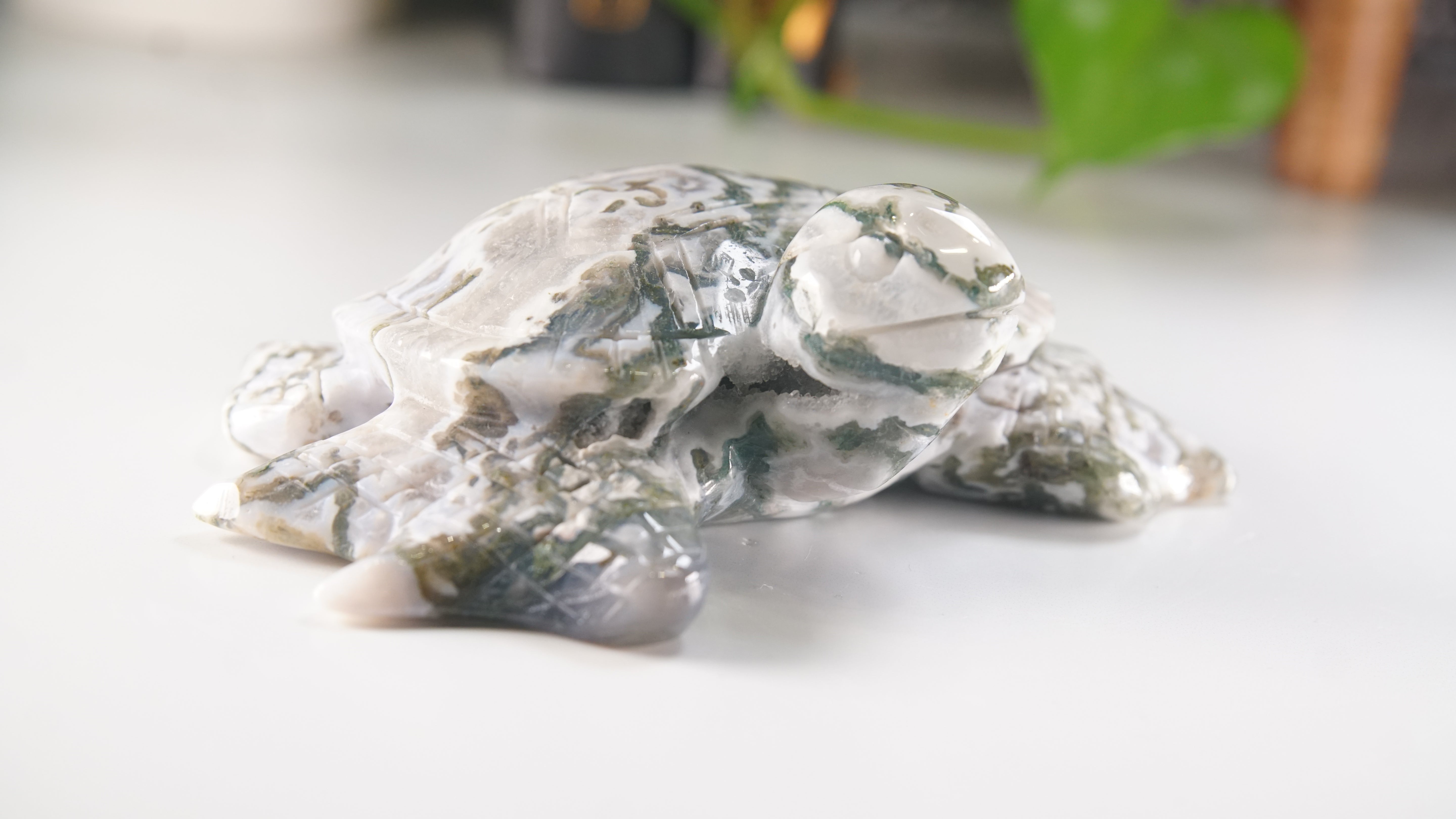 Moss Agate Sea Turtle | Crystal Carving Statement Piece
