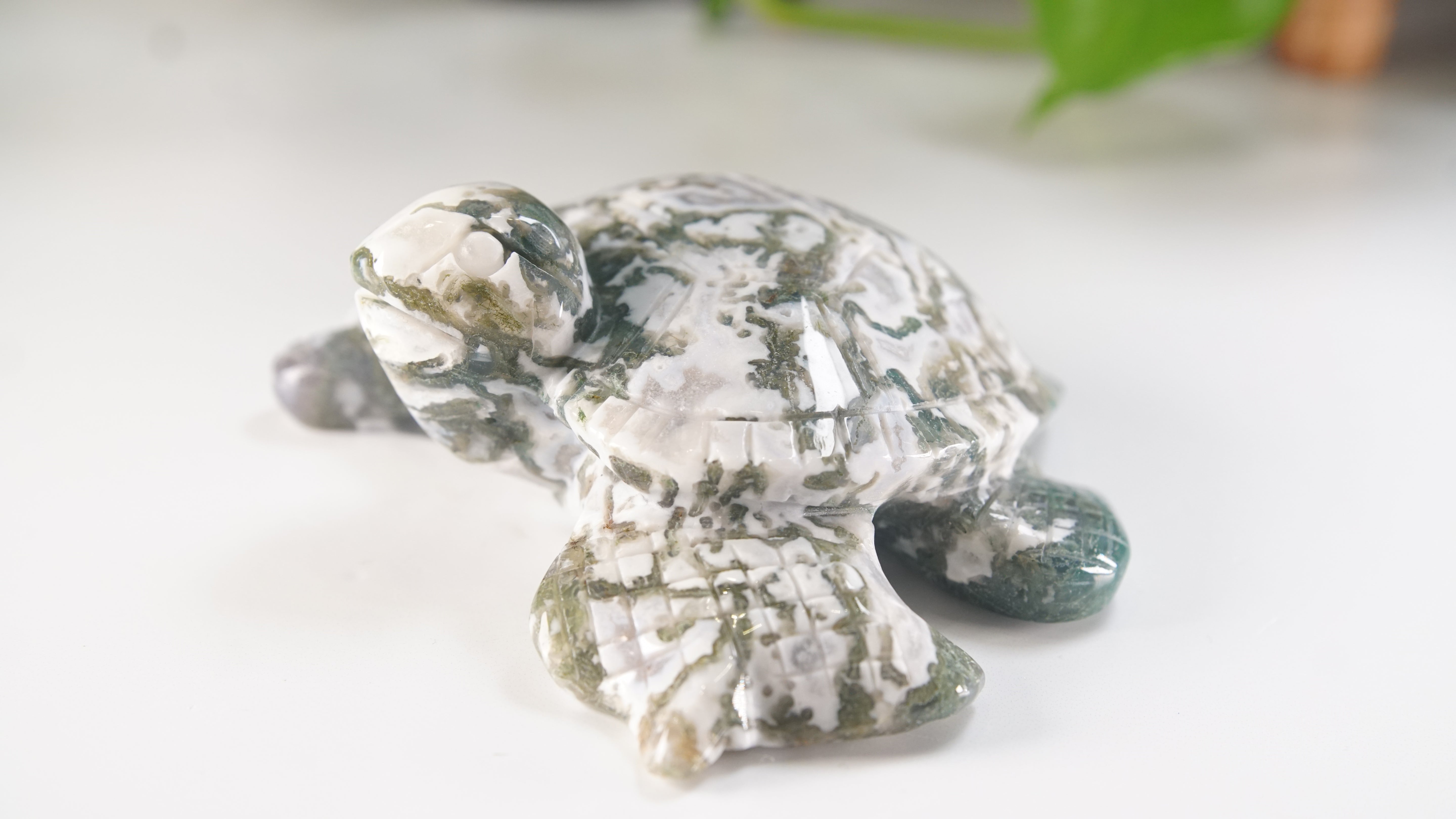 Moss Agate Sea Turtle | Crystal Carving Statement Piece