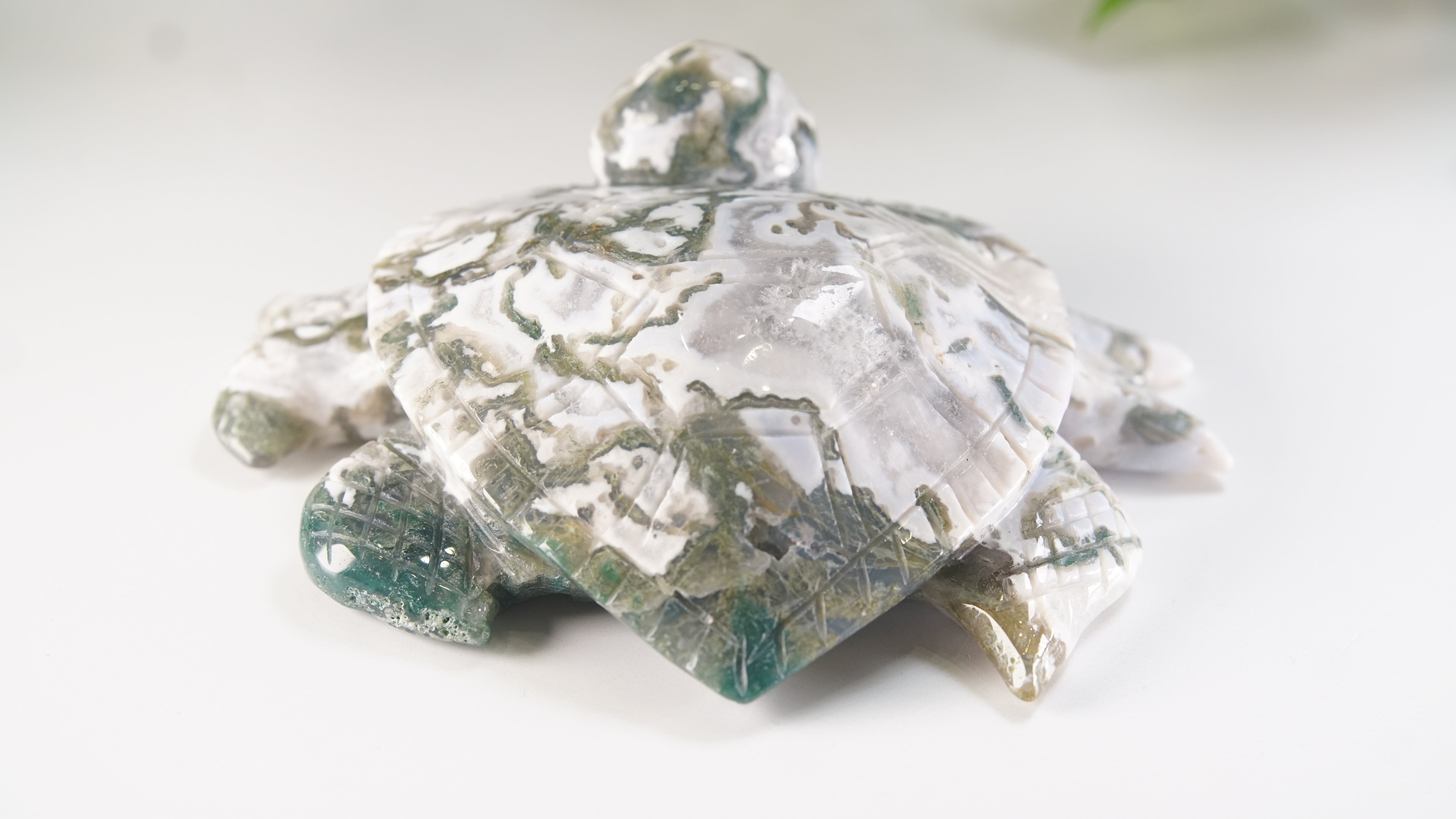 Moss Agate Sea Turtle | Crystal Carving Statement Piece