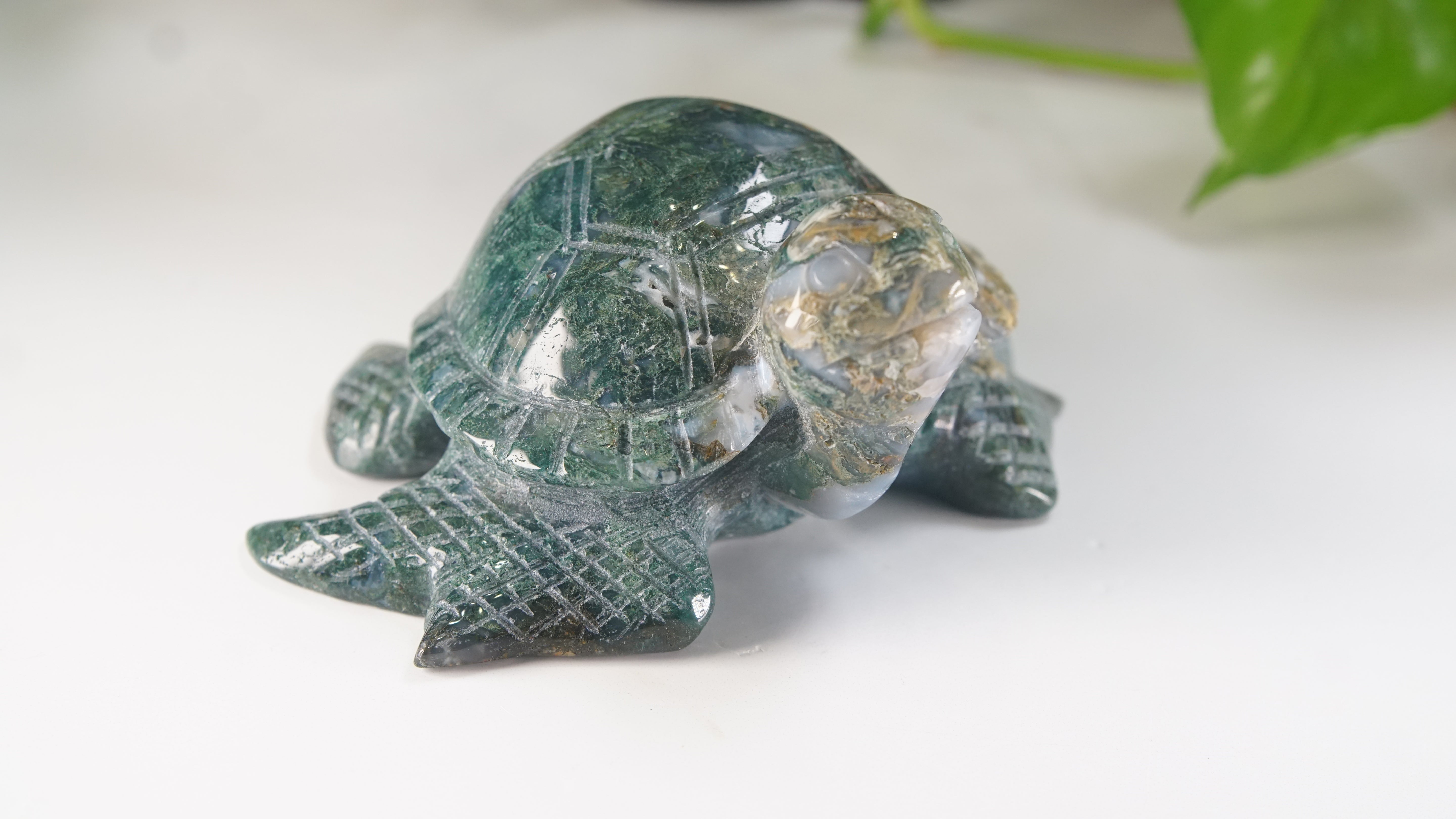 Moss Agate Sea Turtle | Crystal Carving Statement Piece