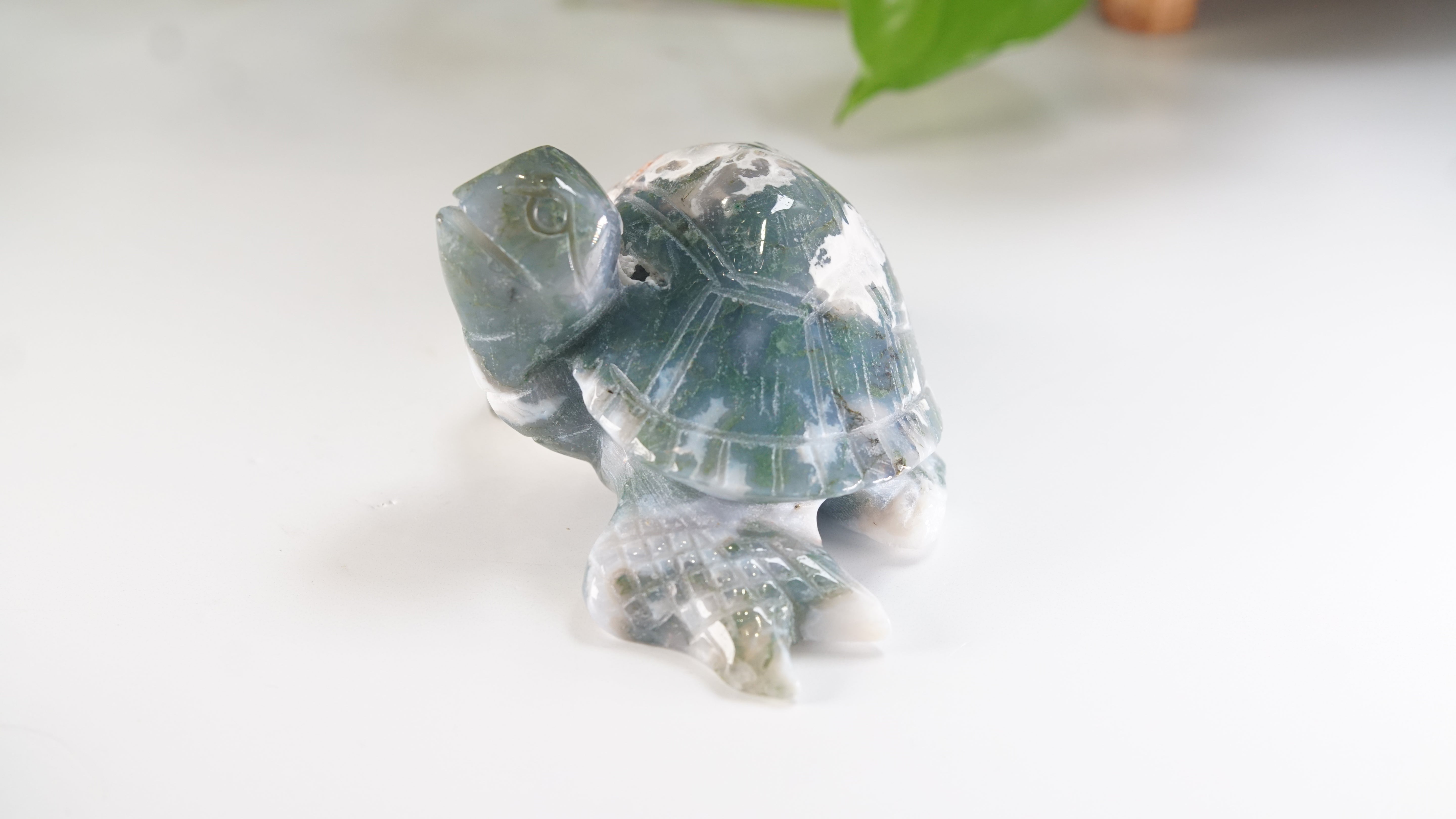 Moss Agate Sea Turtle | Crystal Carving Statement Piece
