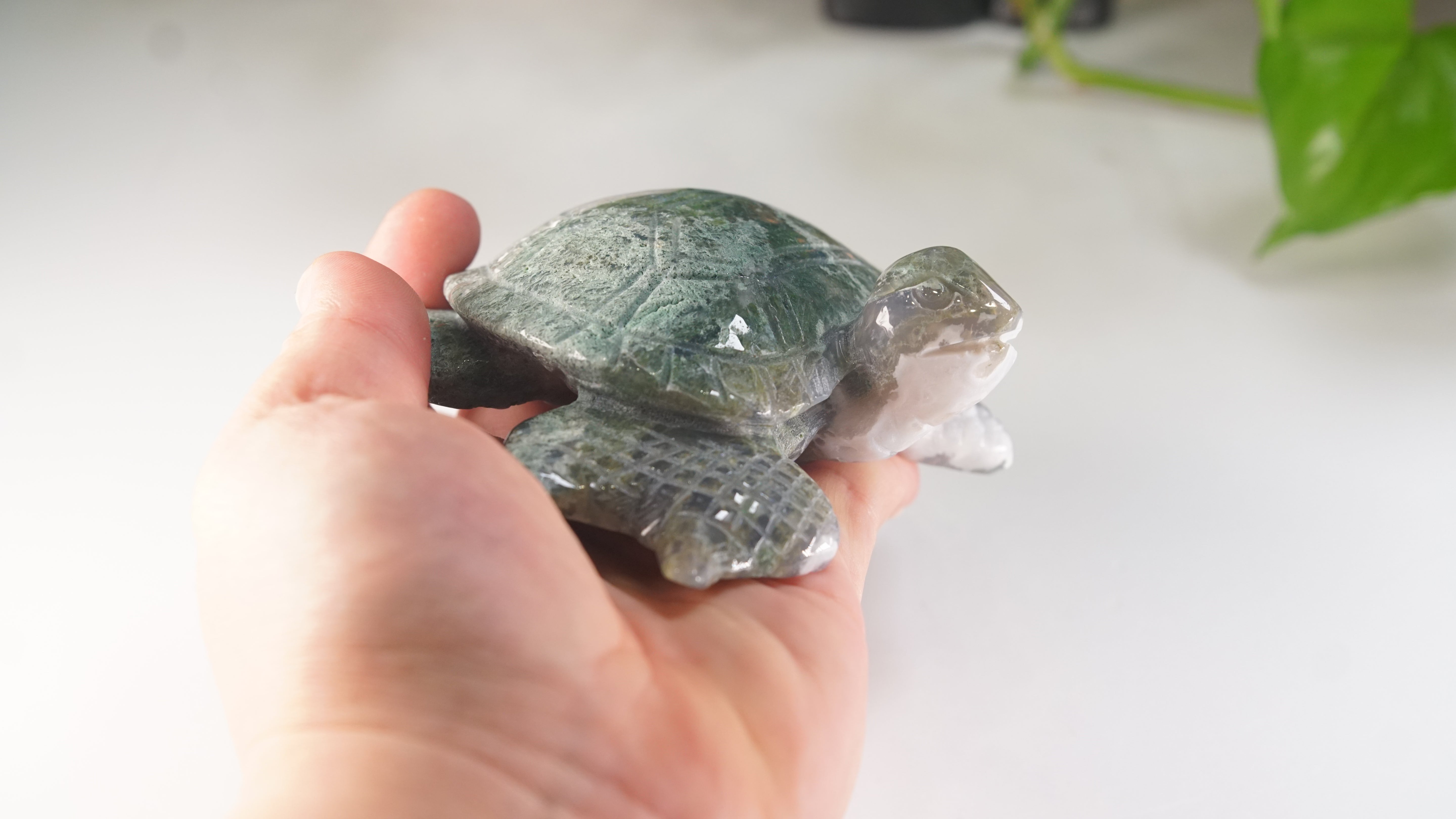 Moss Agate Sea Turtle | Crystal Carving Statement Piece