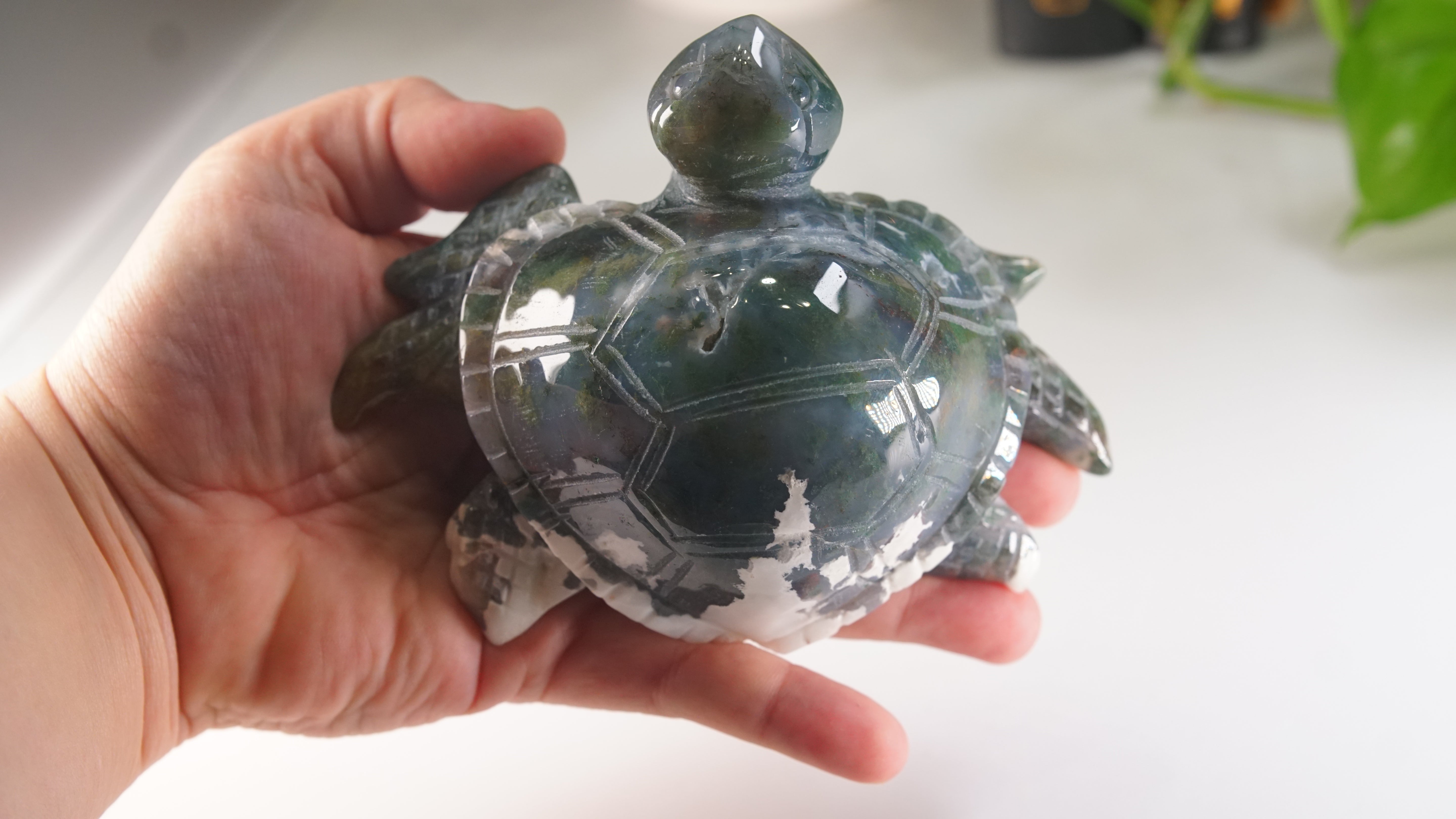 Moss Agate Sea Turtle | Crystal Carving Statement Piece