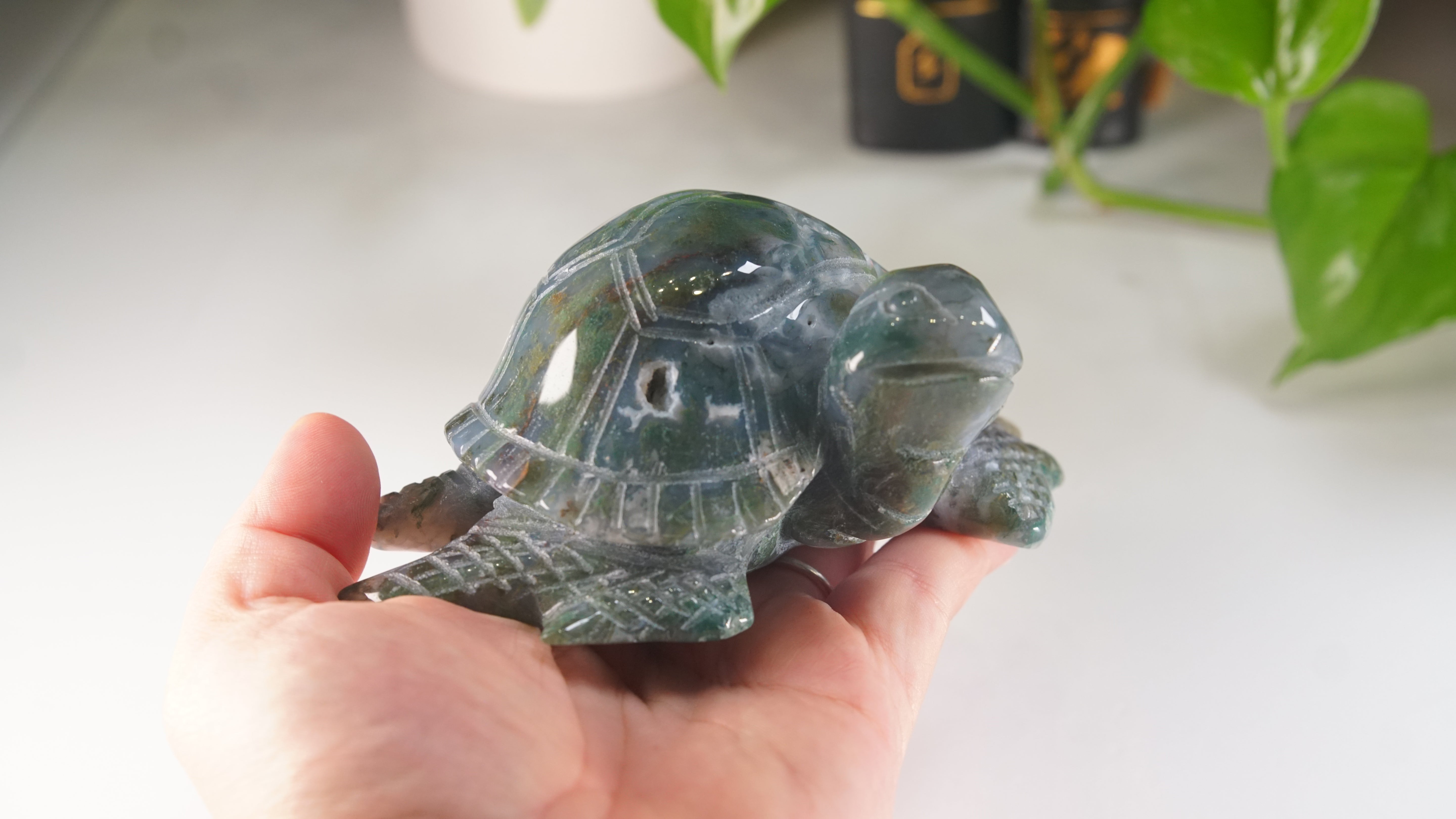 Moss Agate Sea Turtle | Crystal Carving Statement Piece