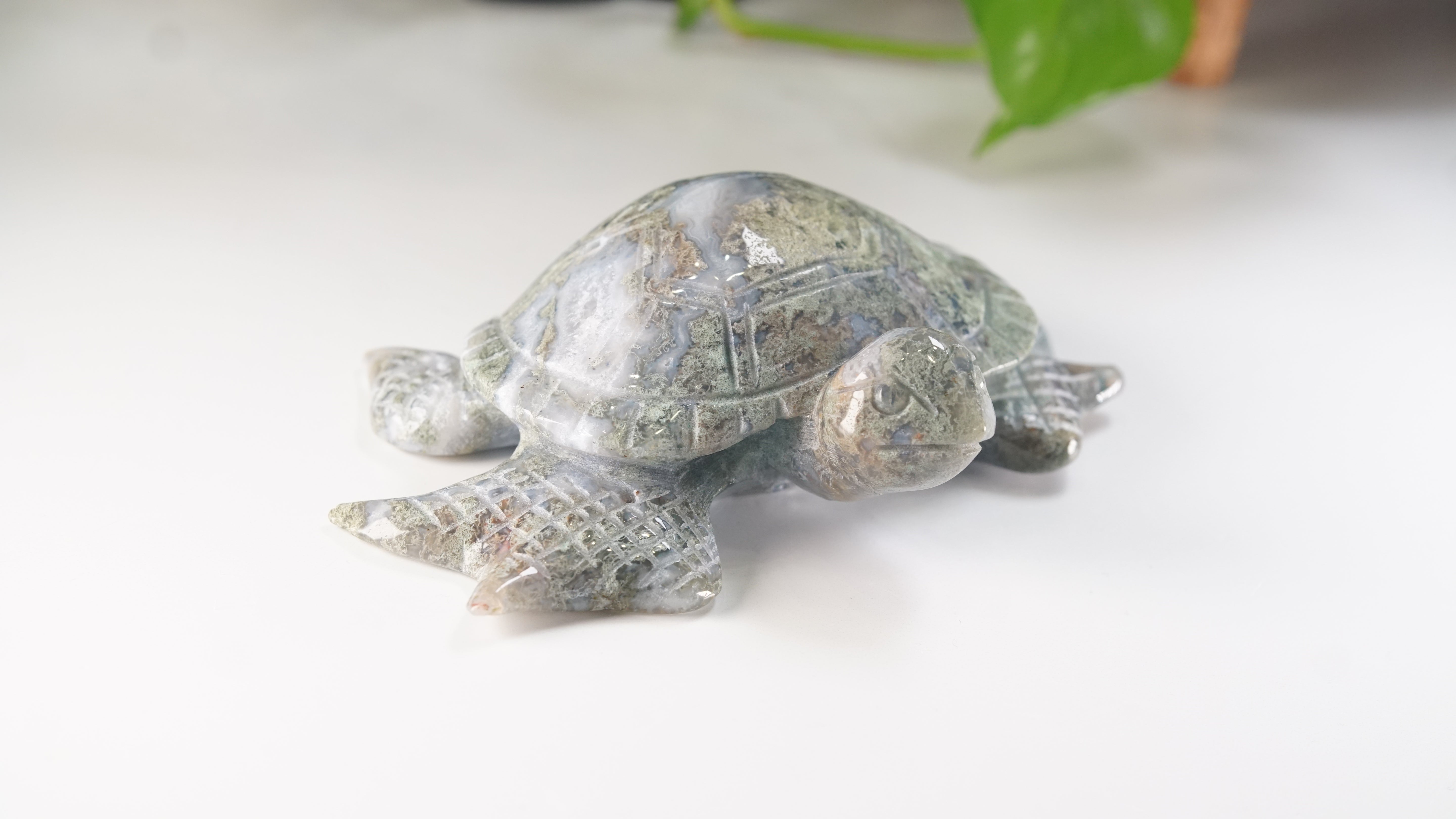 Moss Agate Sea Turtle | Crystal Carving Statement Piece