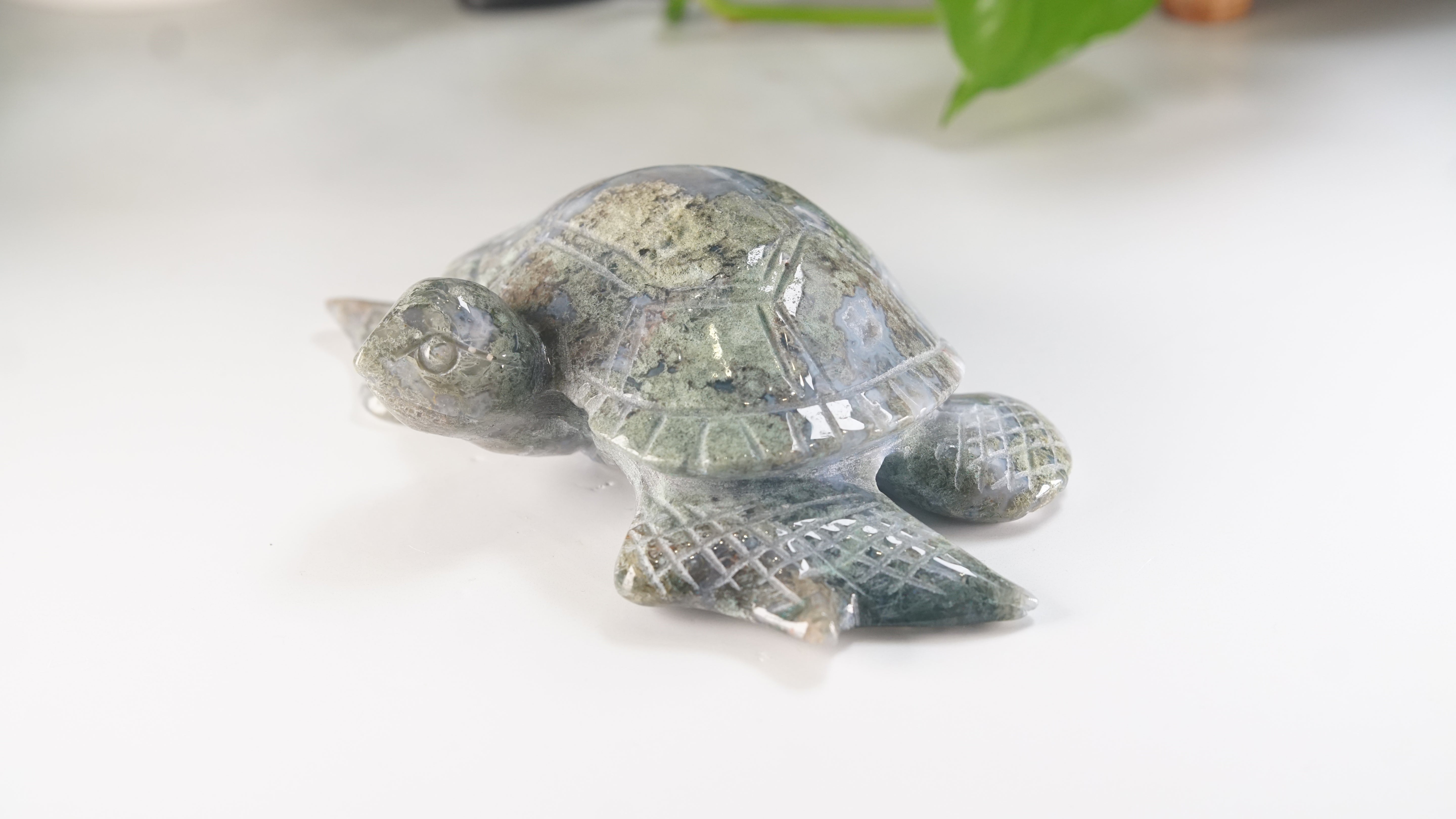 Moss Agate Sea Turtle | Crystal Carving Statement Piece