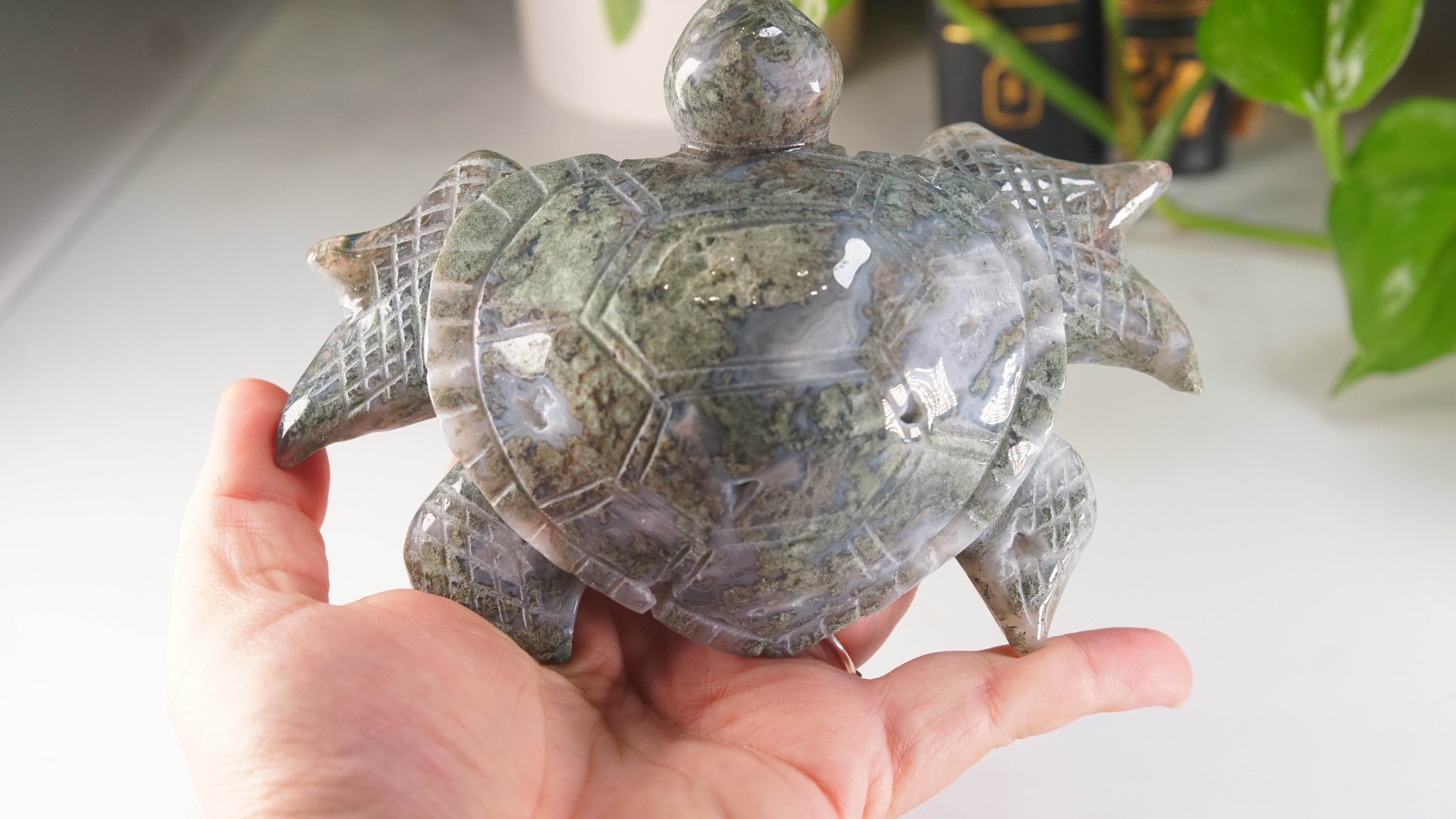Moss Agate Sea Turtle | Crystal Carving Statement Piece