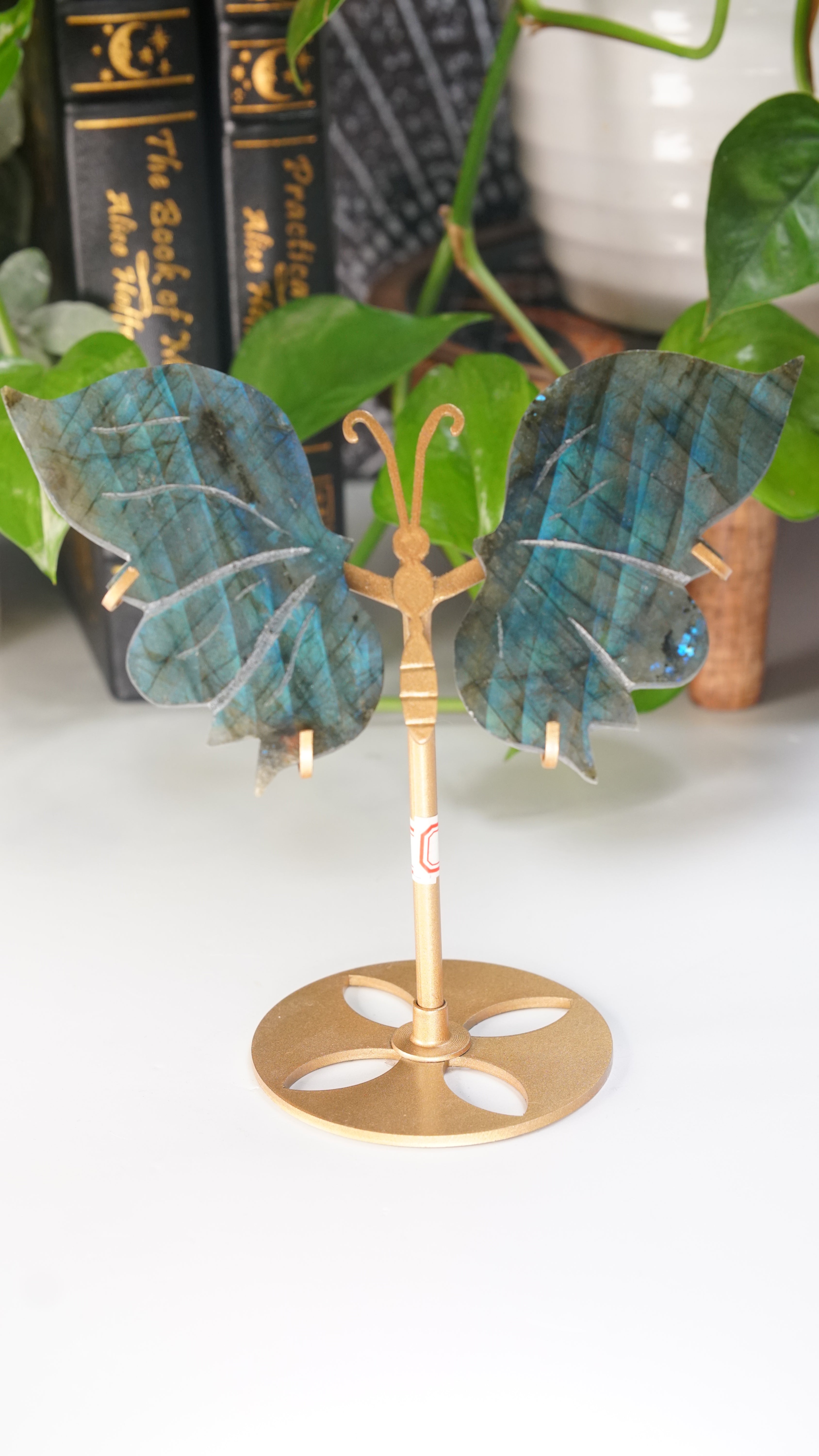 Flashy Blue Labradorite Butterfly Wings | Free Custom Stand Included