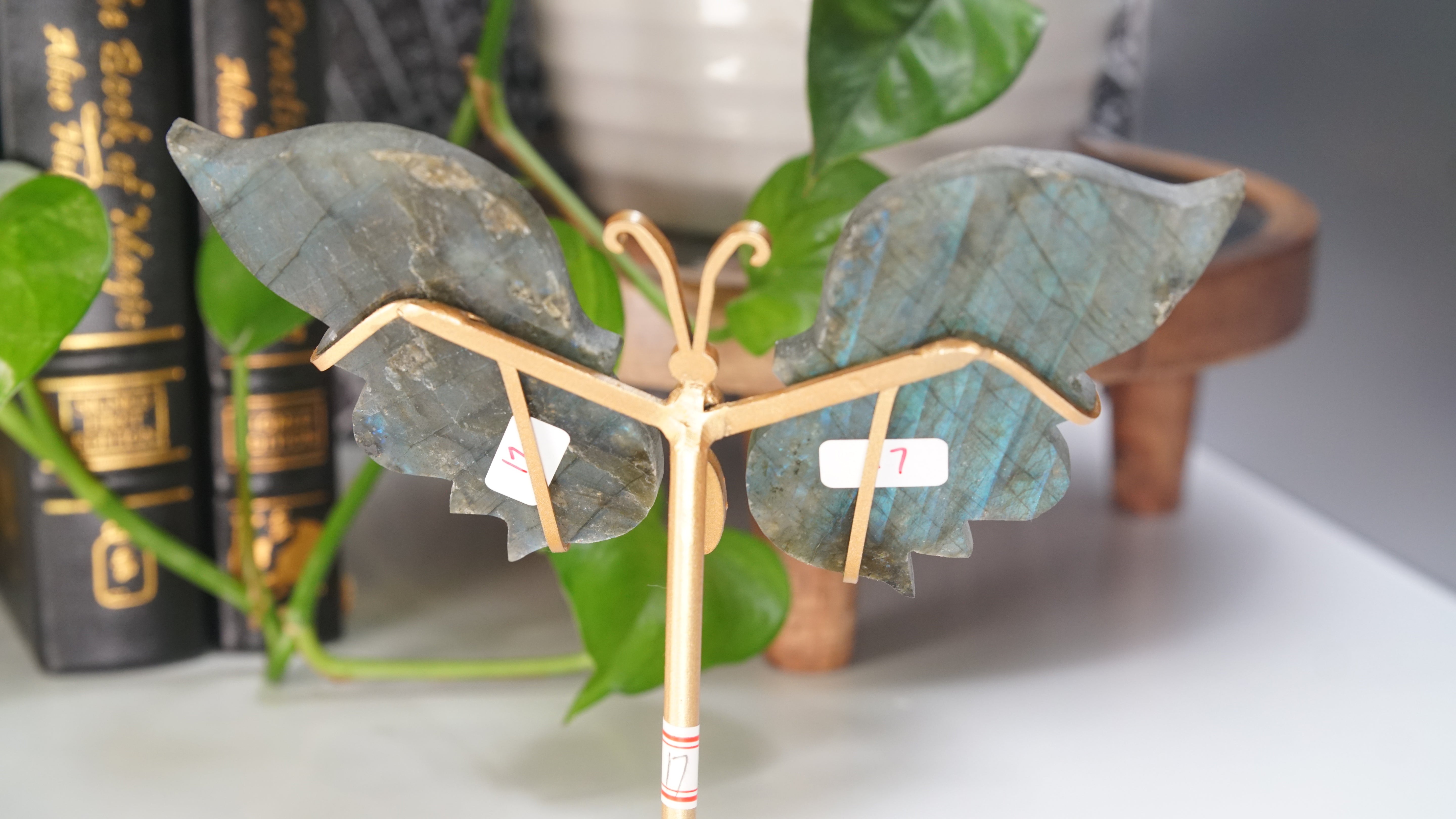 Flashy Blue Labradorite Butterfly Wings | Free Custom Stand Included
