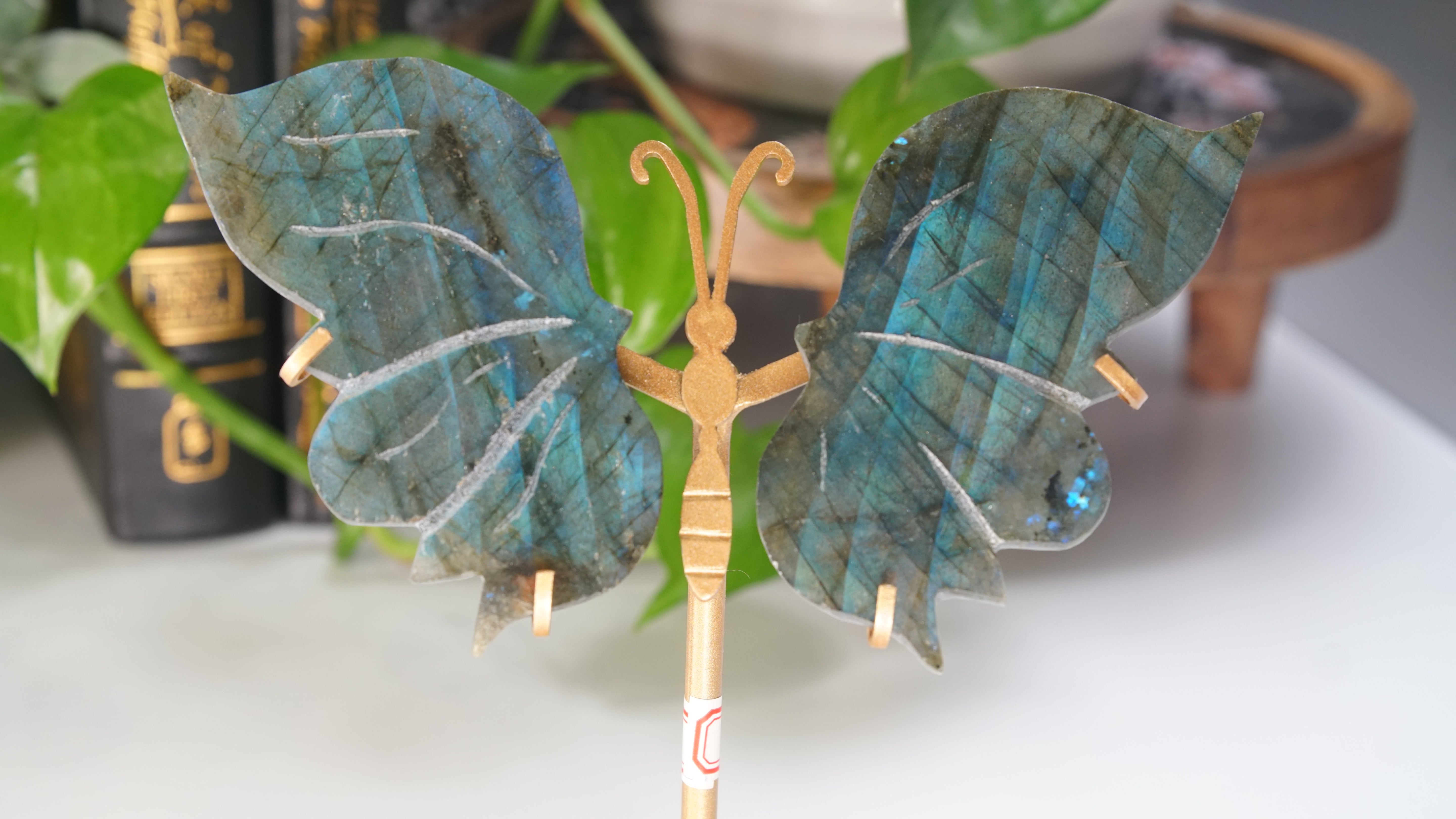 Flashy Blue Labradorite Butterfly Wings | Free Custom Stand Included