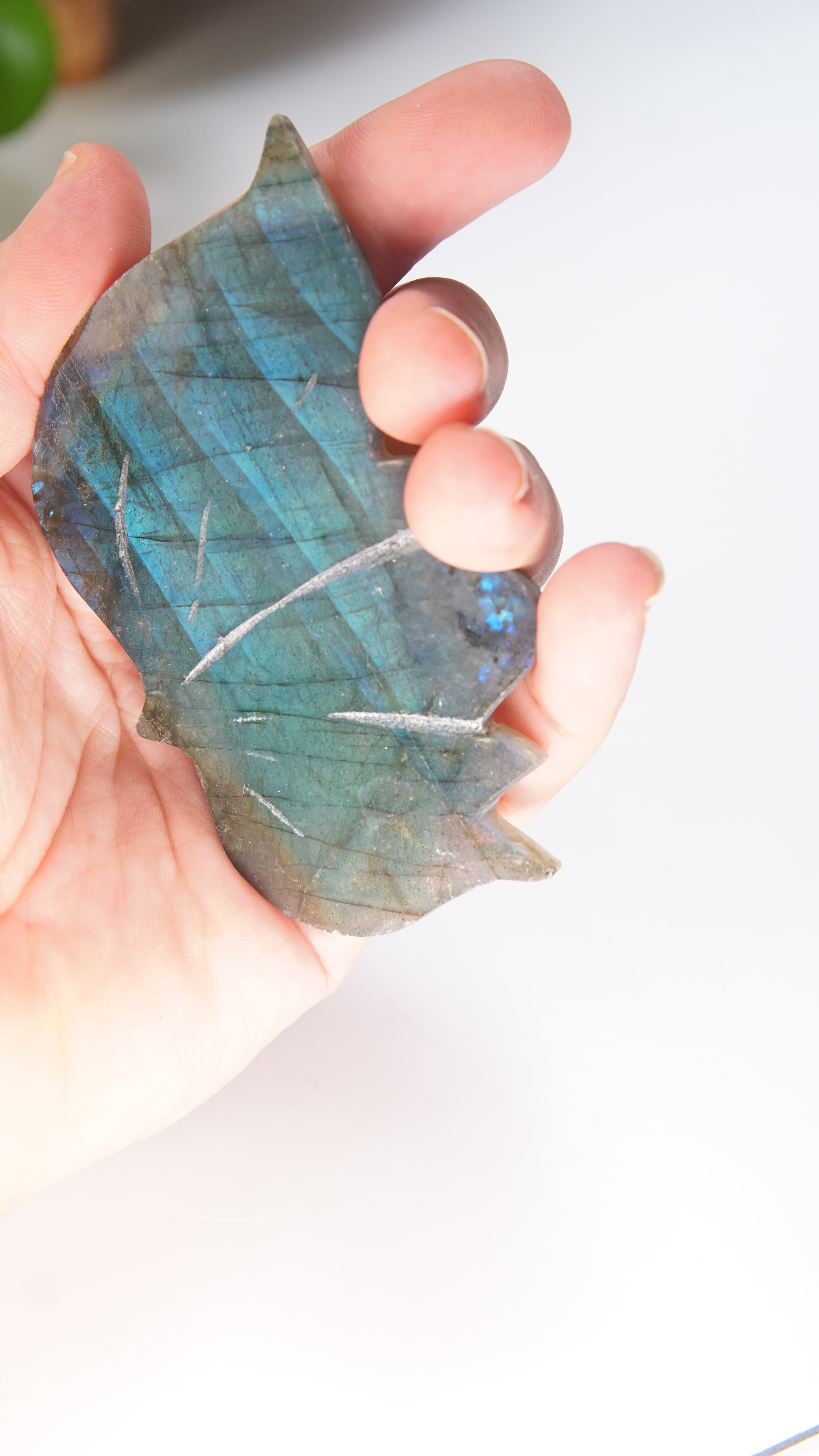Flashy Blue Labradorite Butterfly Wings | Free Custom Stand Included