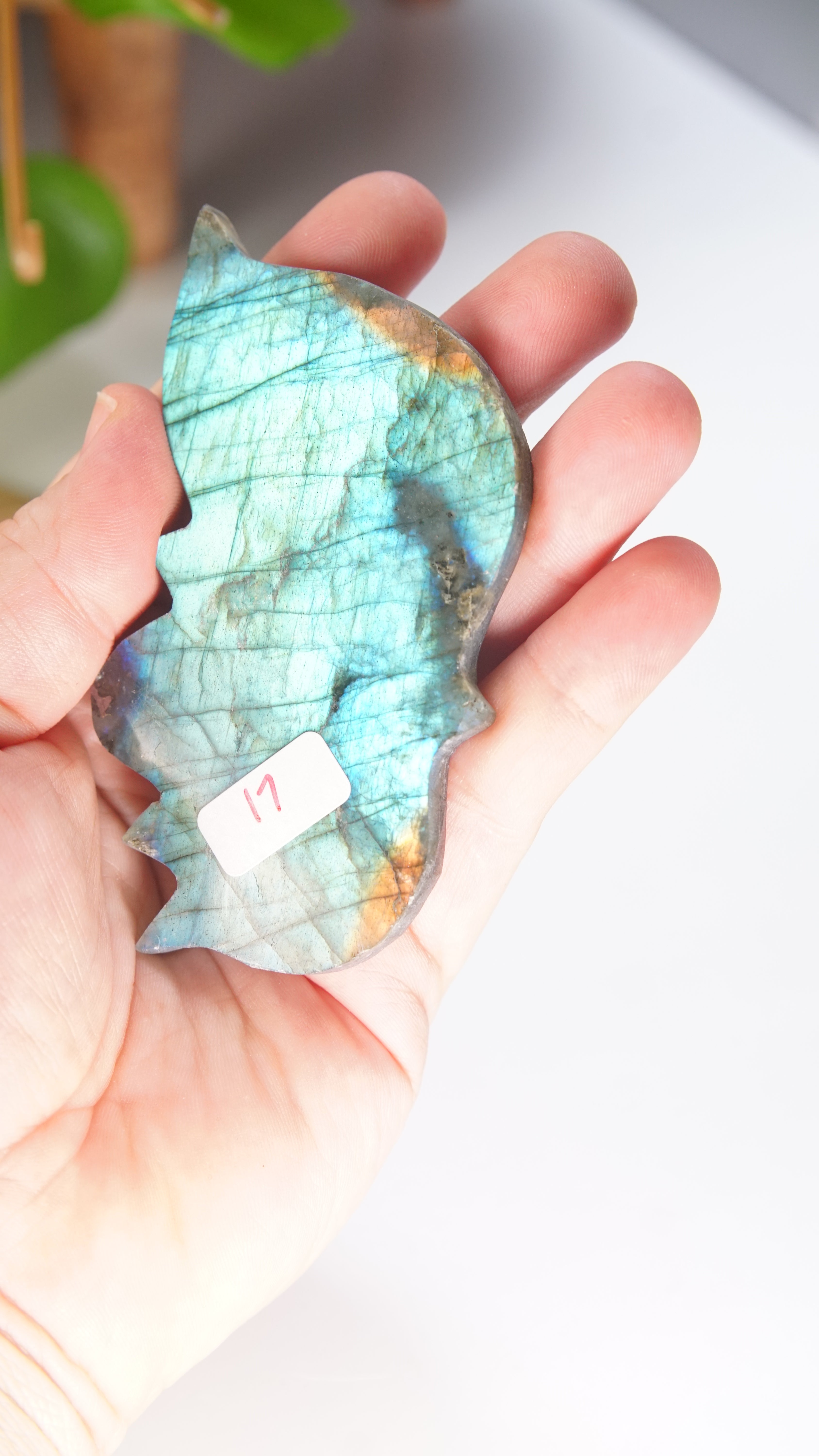 Flashy Blue Labradorite Butterfly Wings | Free Custom Stand Included