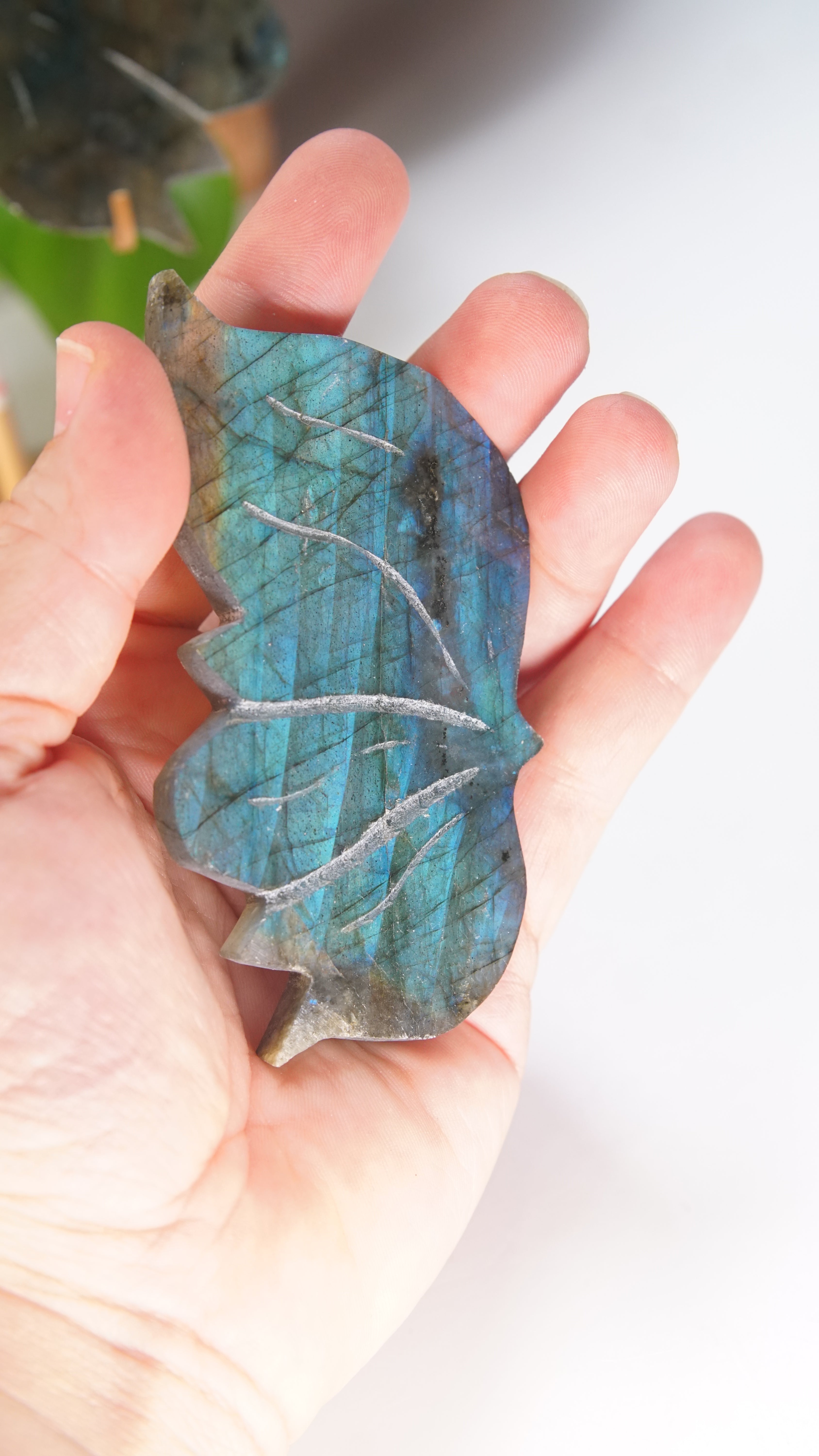 Flashy Blue Labradorite Butterfly Wings | Free Custom Stand Included