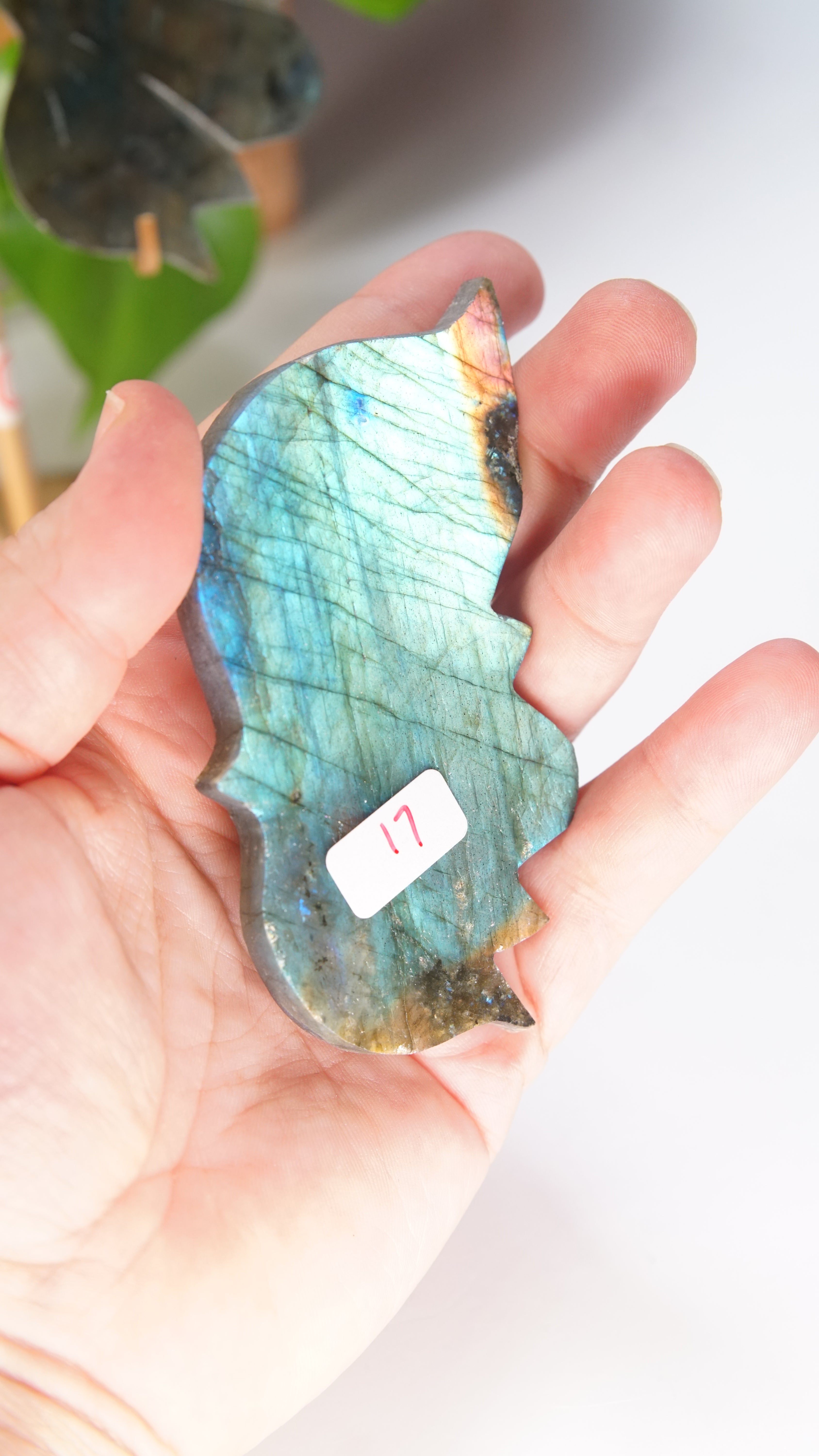Flashy Blue Labradorite Butterfly Wings | Free Custom Stand Included