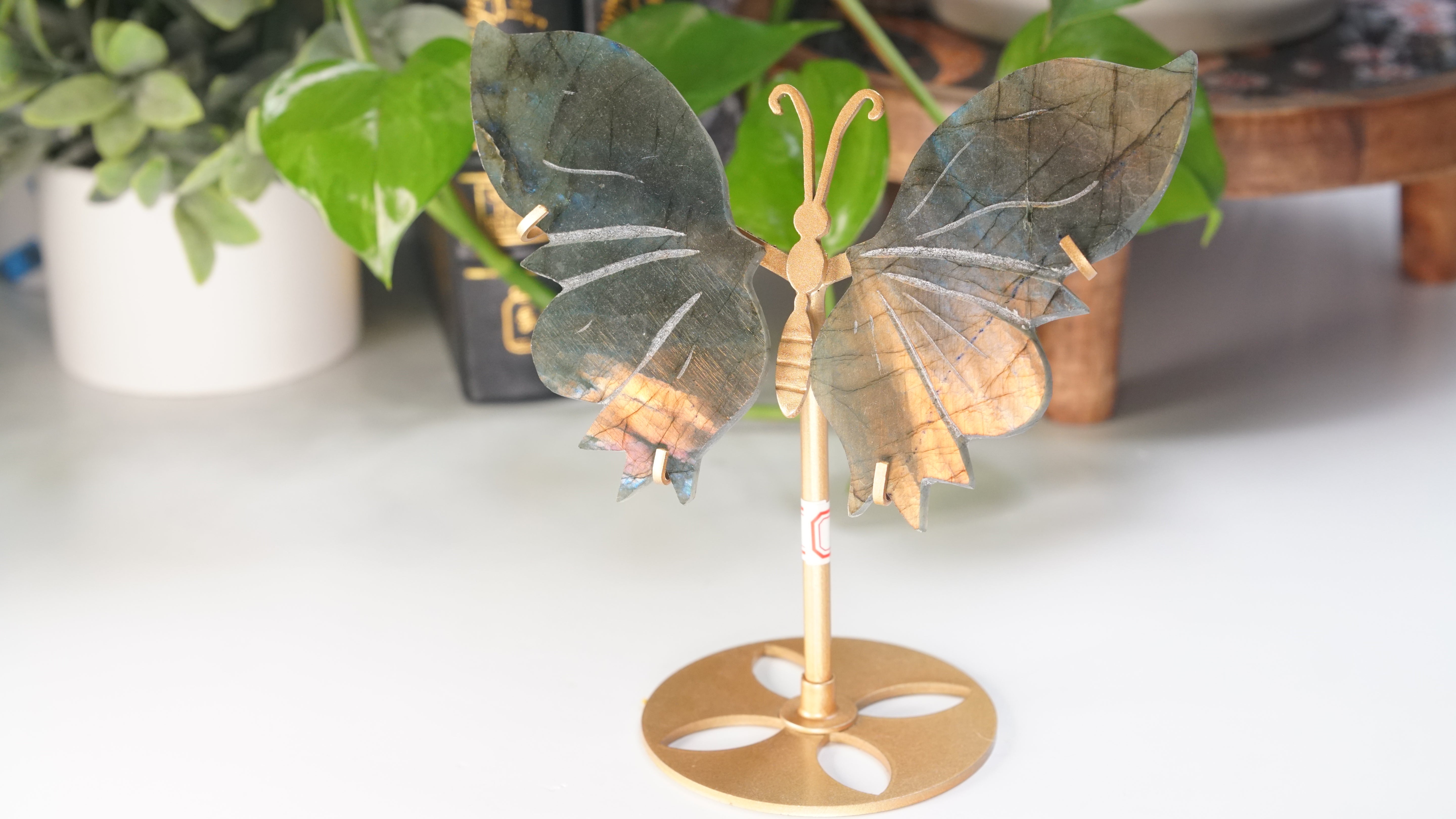 Flashy Sunset Labradorite Butterfly Wings | Free Custom Stand Included