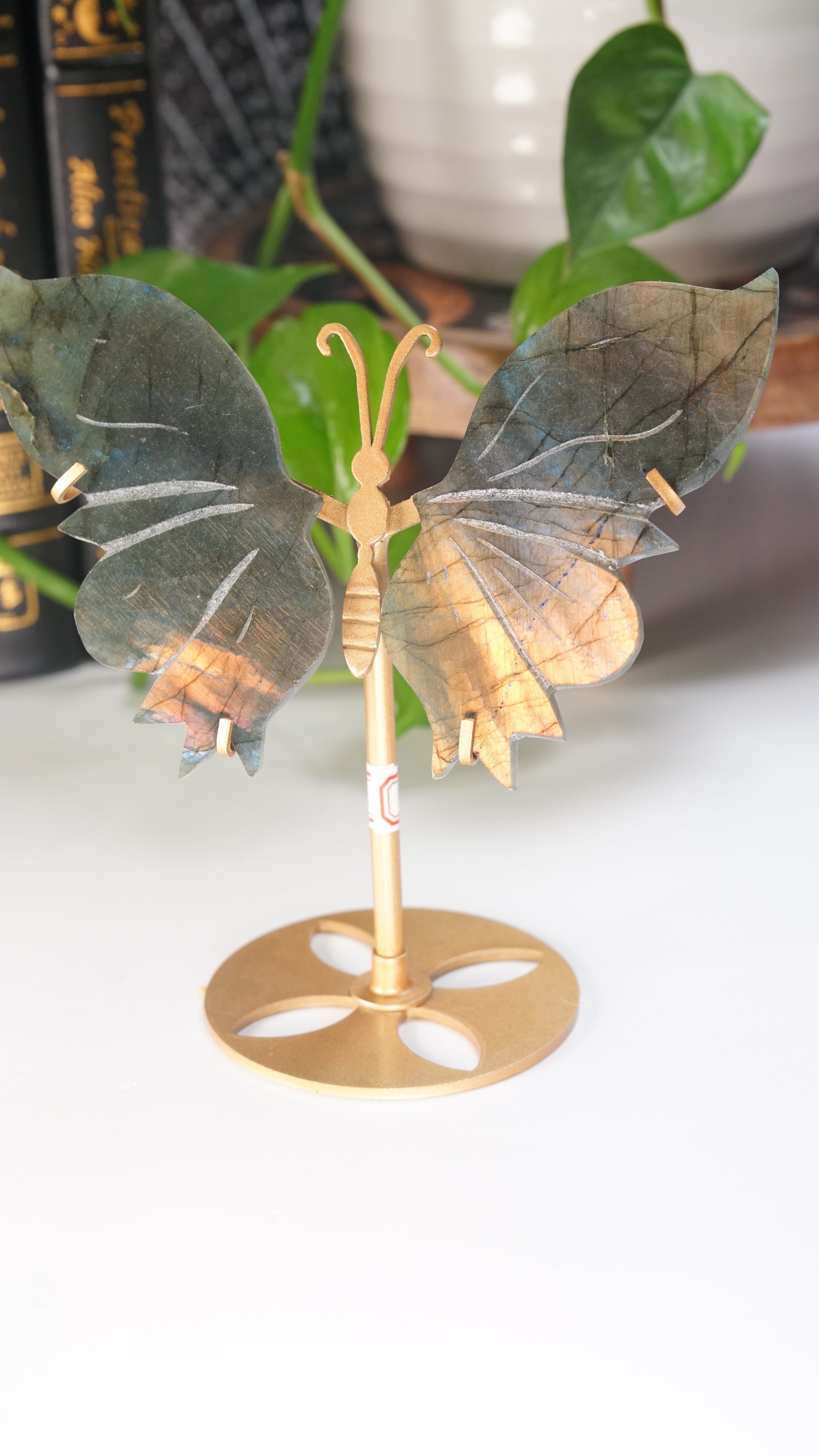 Flashy Sunset Labradorite Butterfly Wings | Free Custom Stand Included