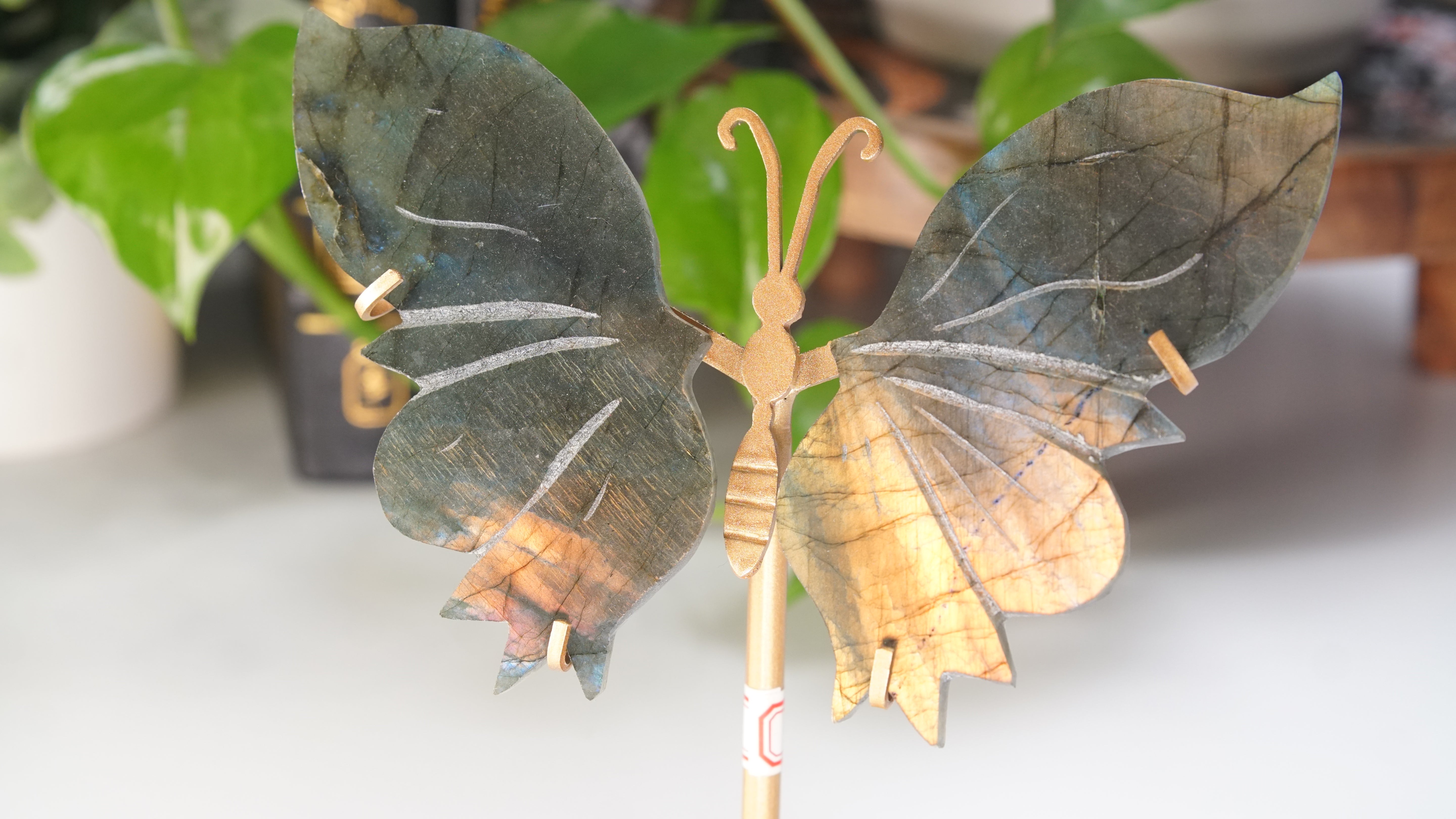 Flashy Sunset Labradorite Butterfly Wings | Free Custom Stand Included