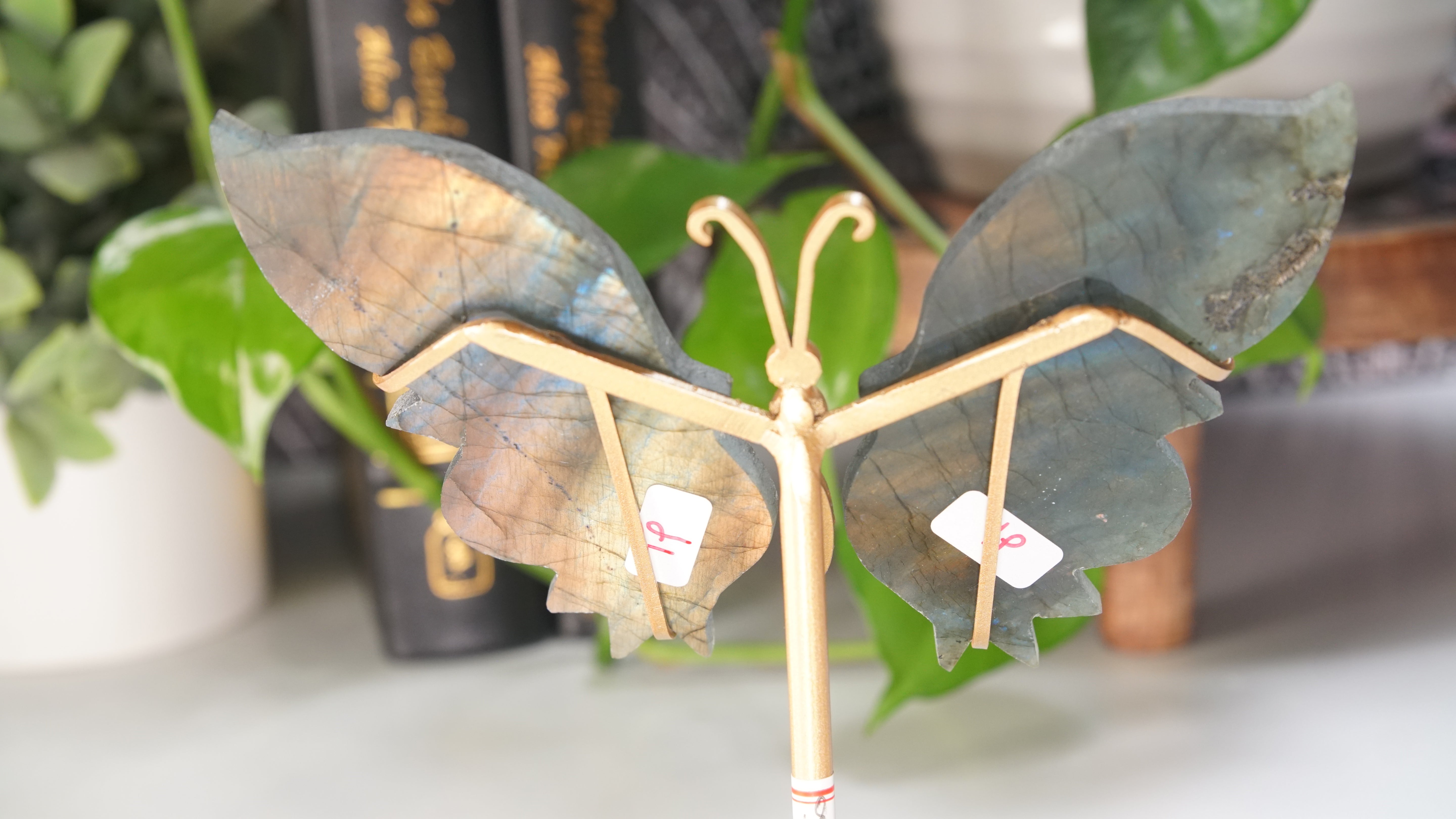 Flashy Sunset Labradorite Butterfly Wings | Free Custom Stand Included