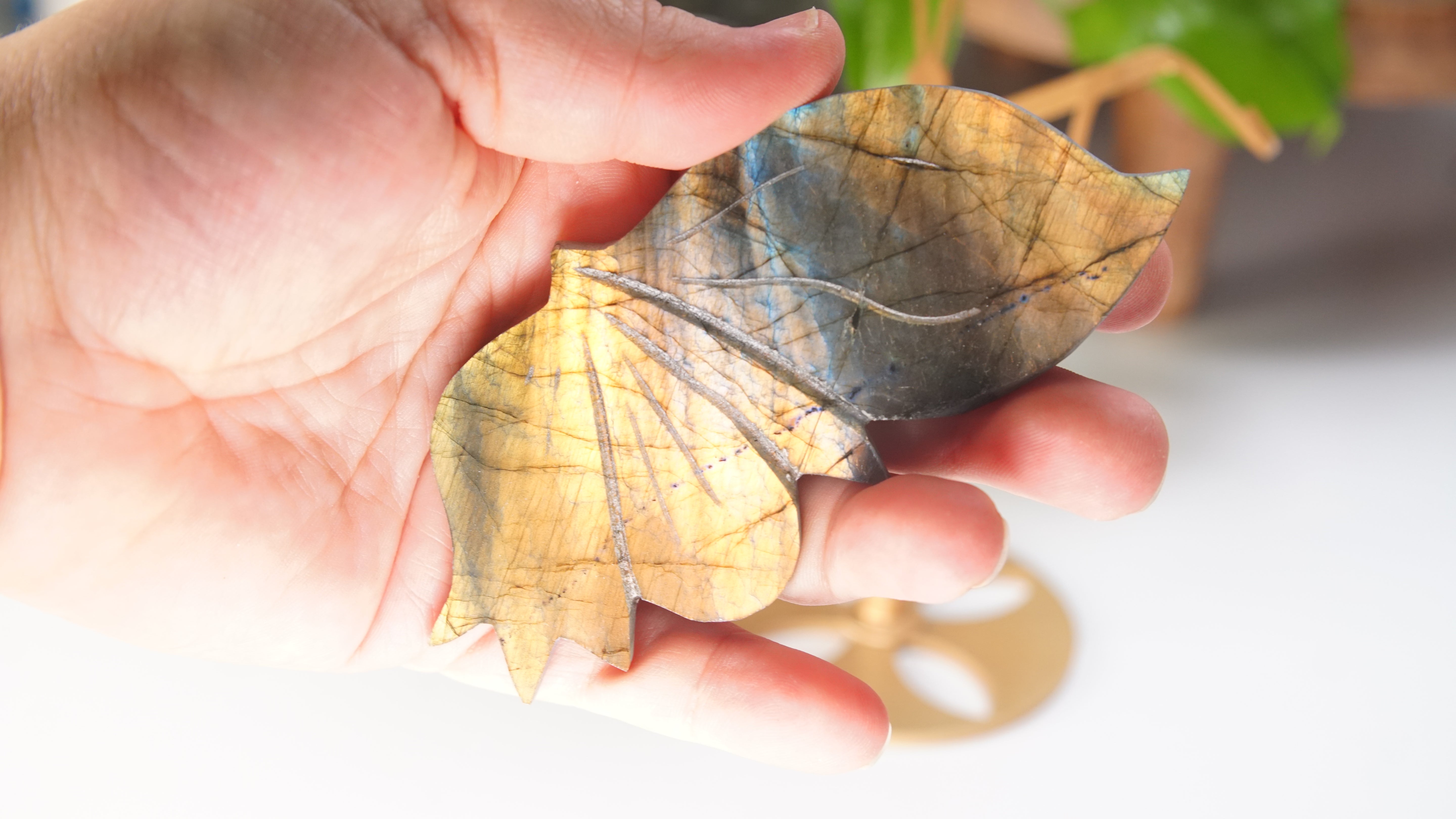 Flashy Sunset Labradorite Butterfly Wings | Free Custom Stand Included