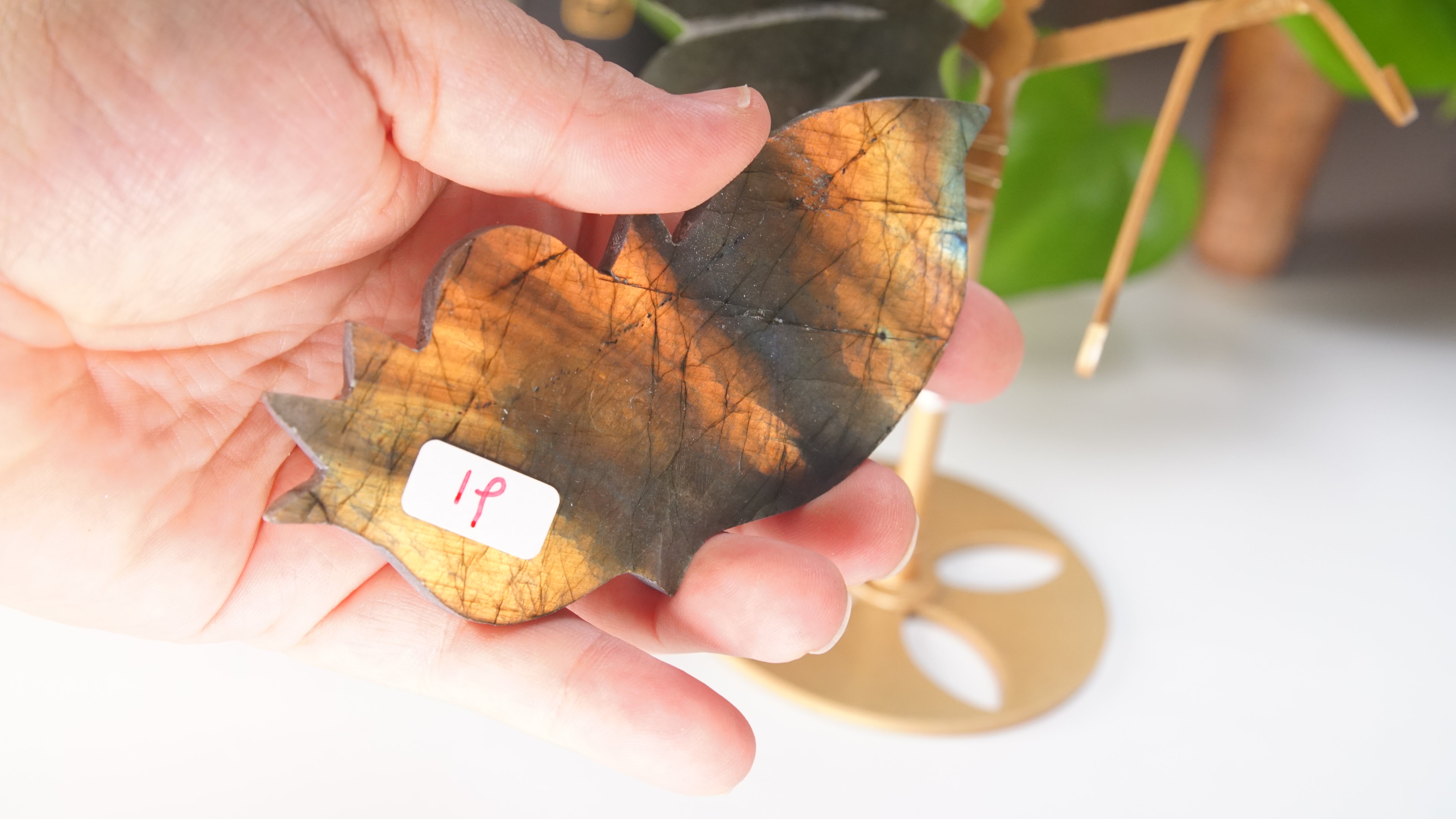 Flashy Sunset Labradorite Butterfly Wings | Free Custom Stand Included