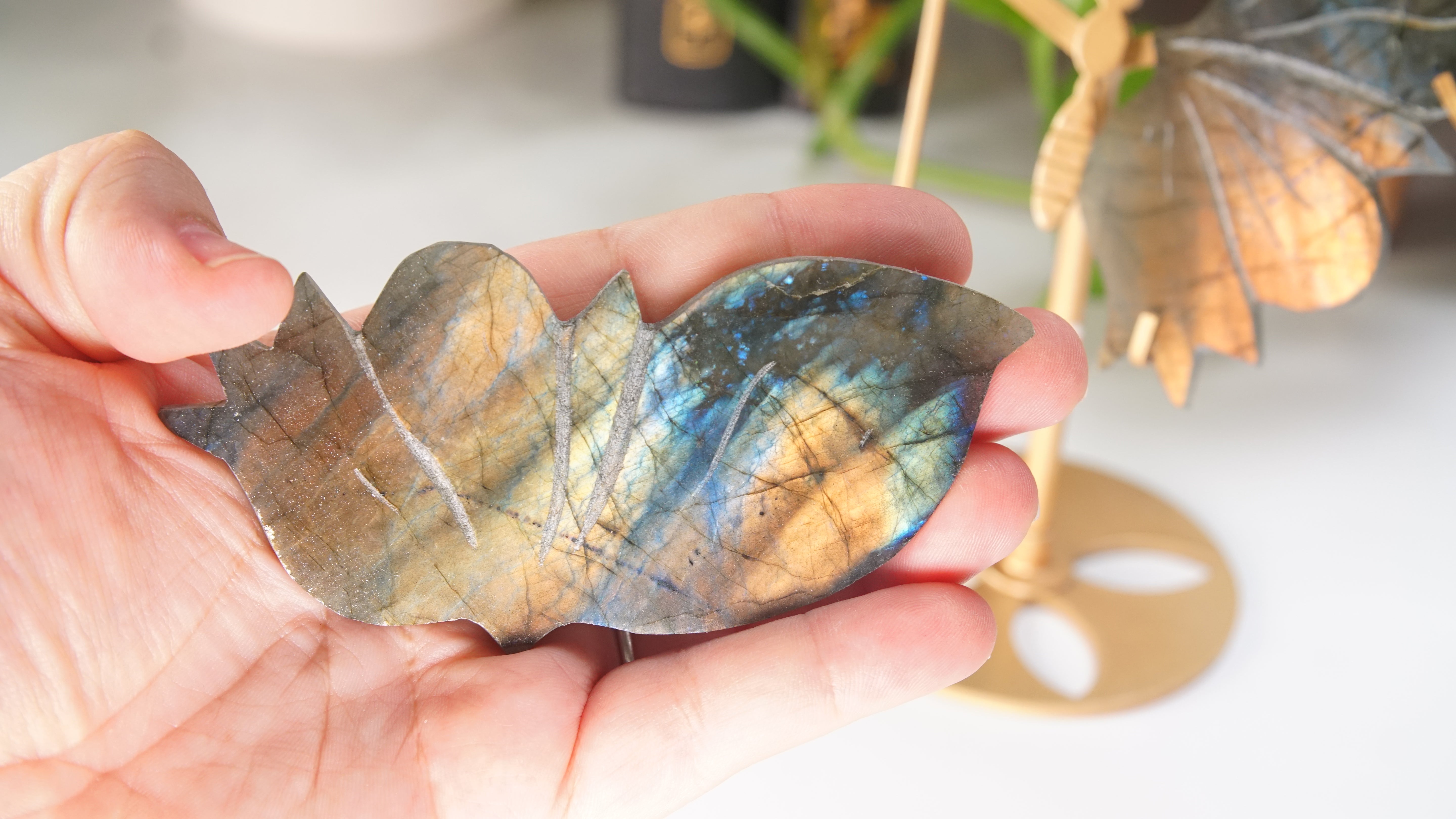 Flashy Sunset Labradorite Butterfly Wings | Free Custom Stand Included