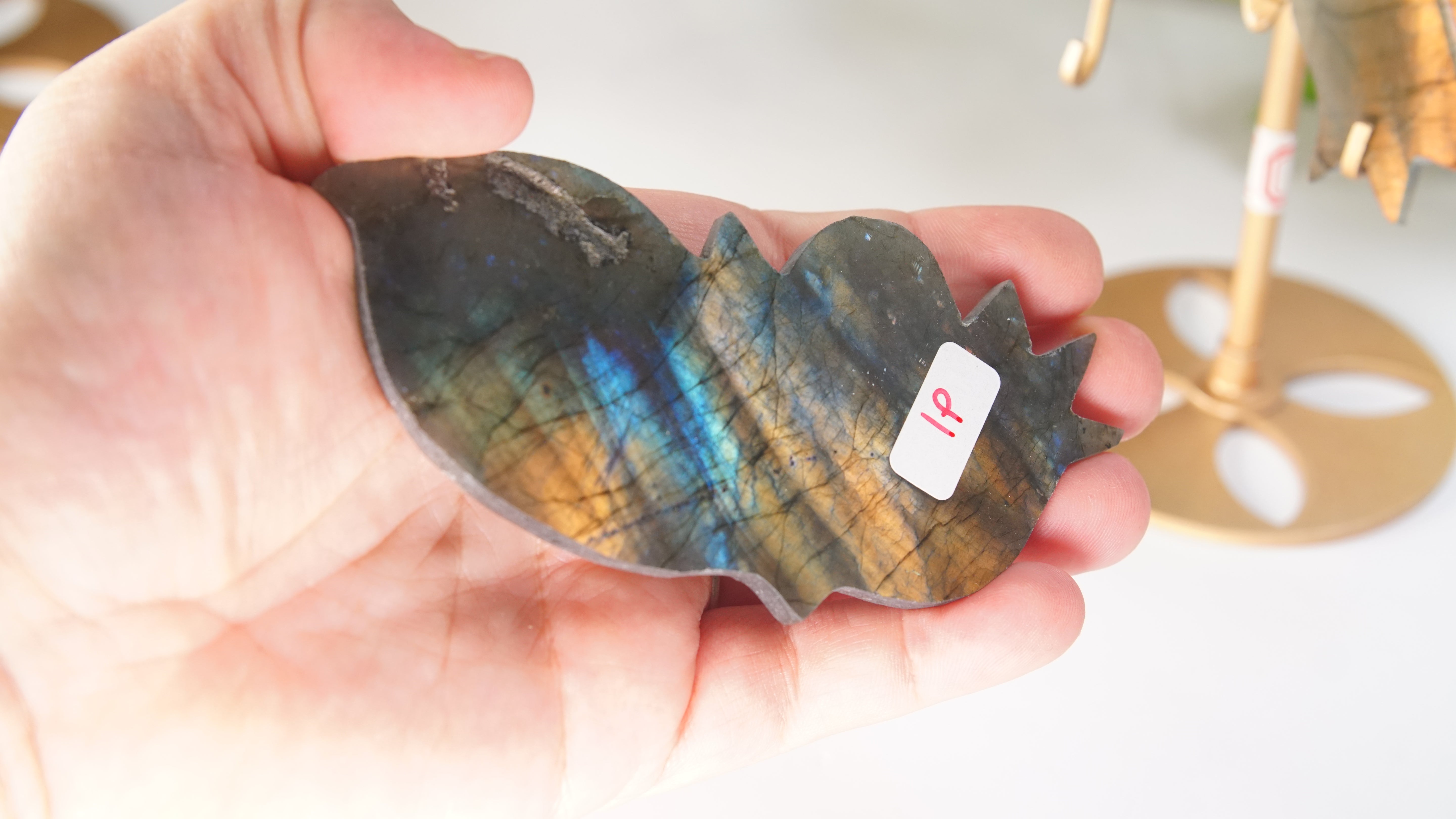Flashy Sunset Labradorite Butterfly Wings | Free Custom Stand Included