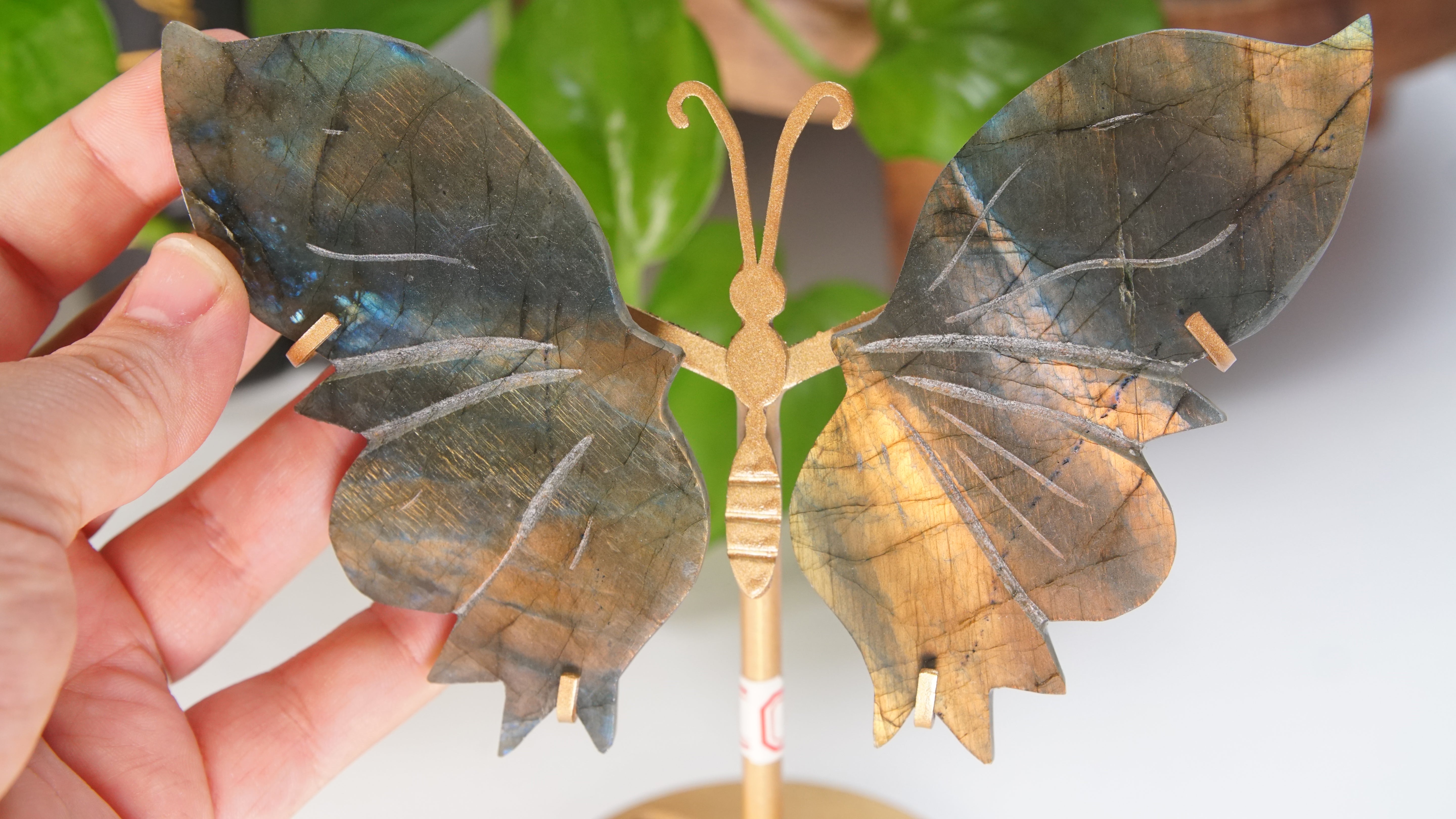 Flashy Sunset Labradorite Butterfly Wings | Free Custom Stand Included