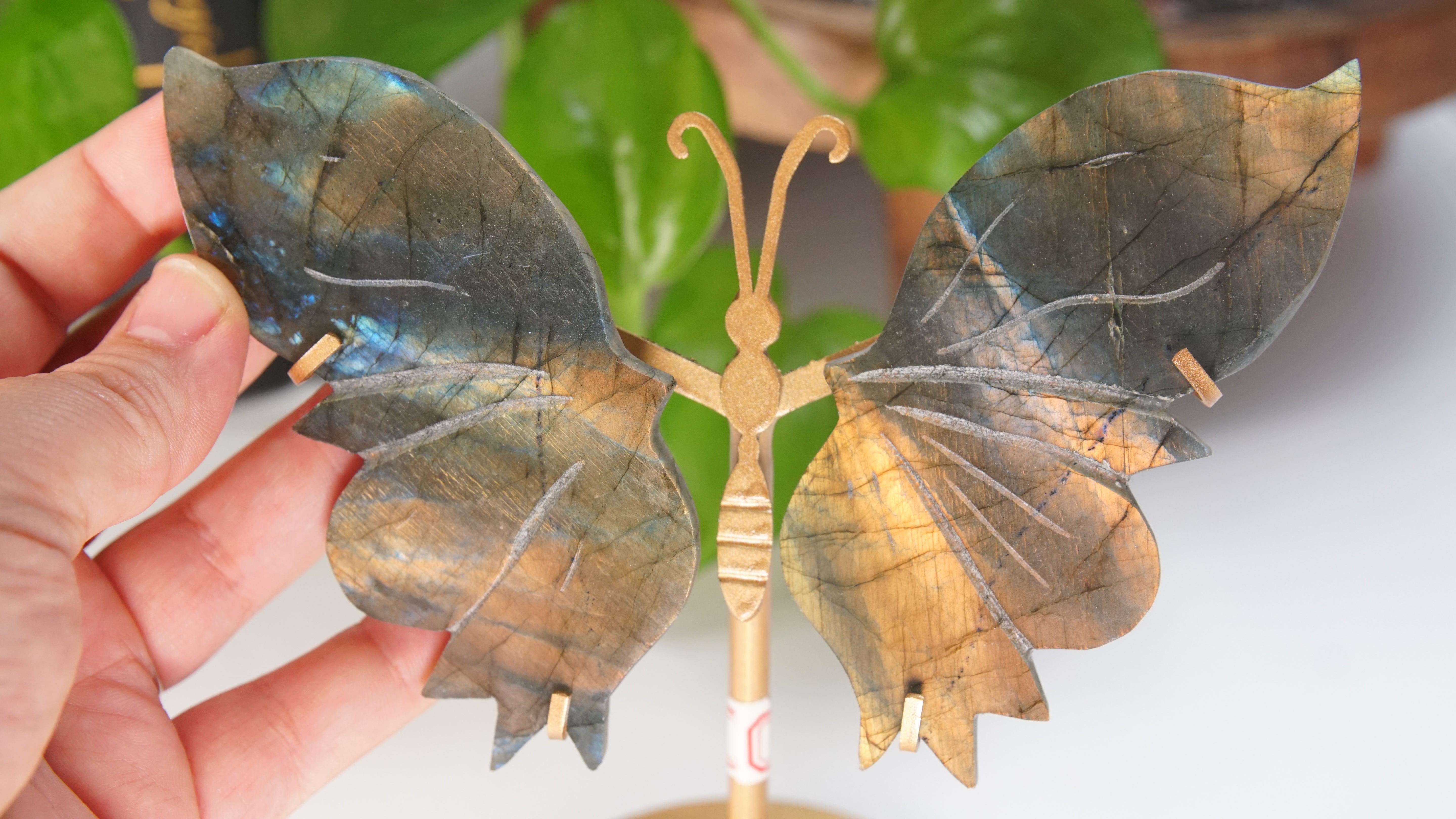 Flashy Sunset Labradorite Butterfly Wings | Free Custom Stand Included