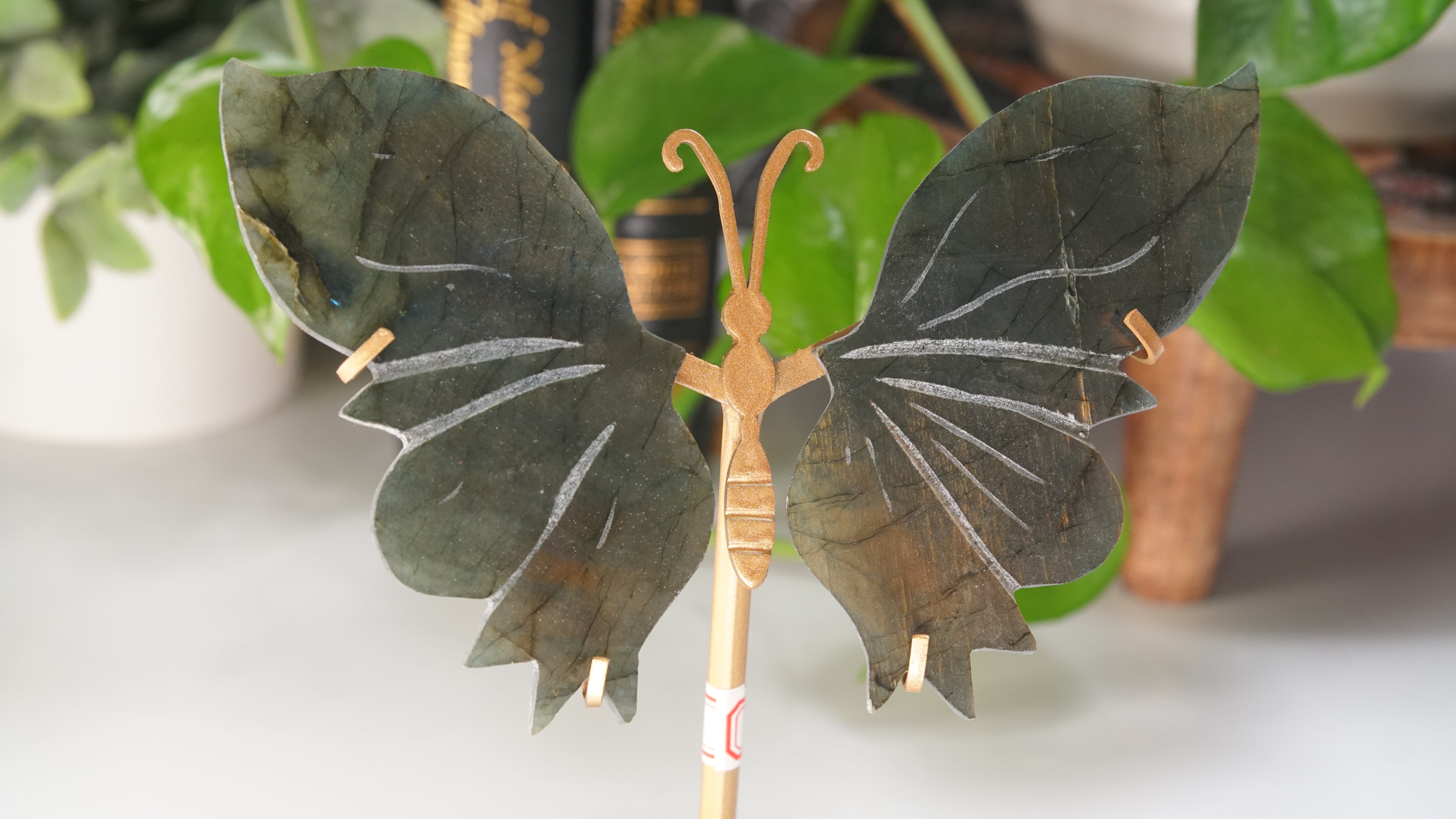 Flashy Sunset Labradorite Butterfly Wings | Free Custom Stand Included