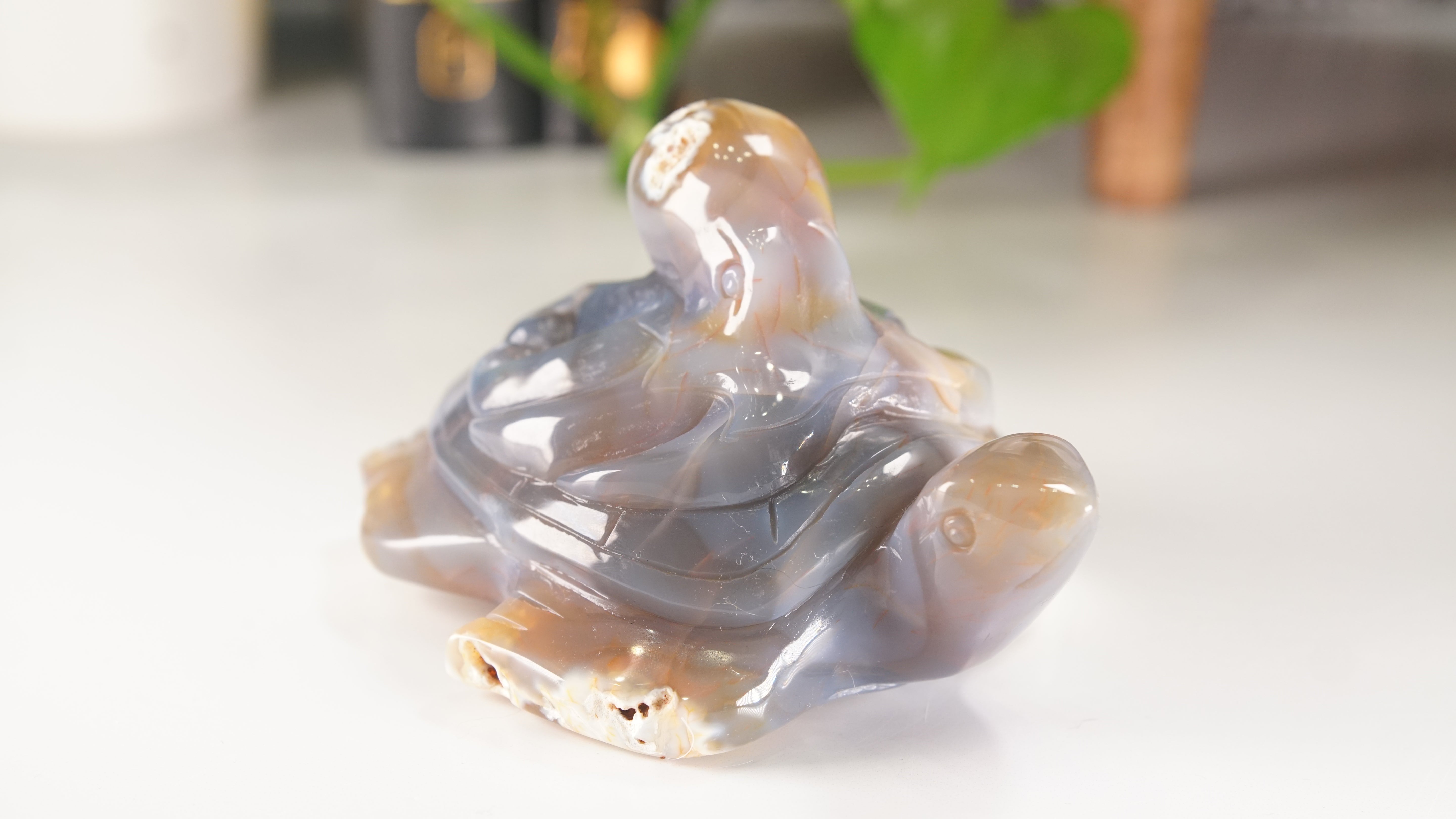 Orca Agate Frog & Octopus Boutique Carvings