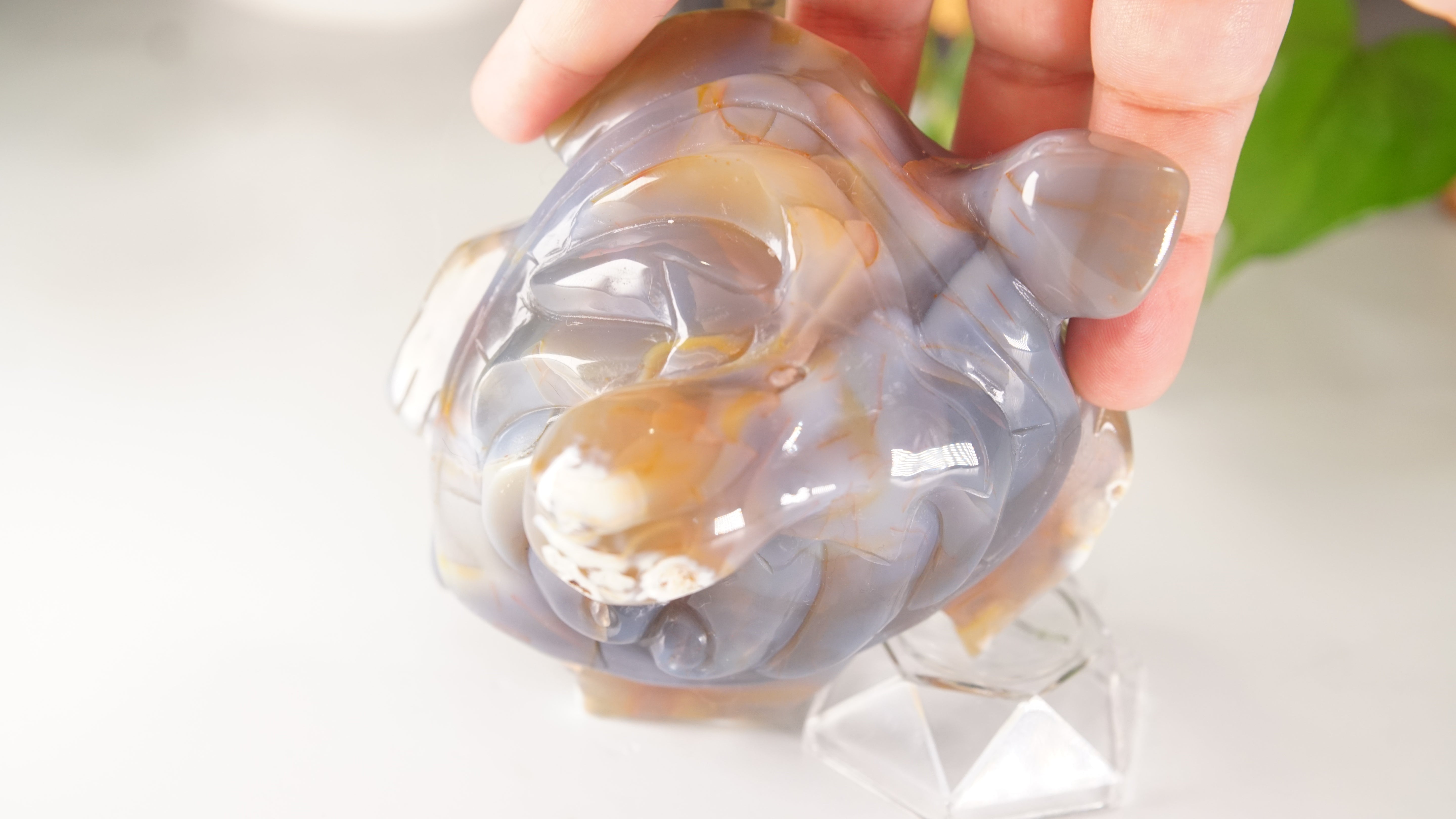 Orca Agate Frog & Octopus Boutique Carvings