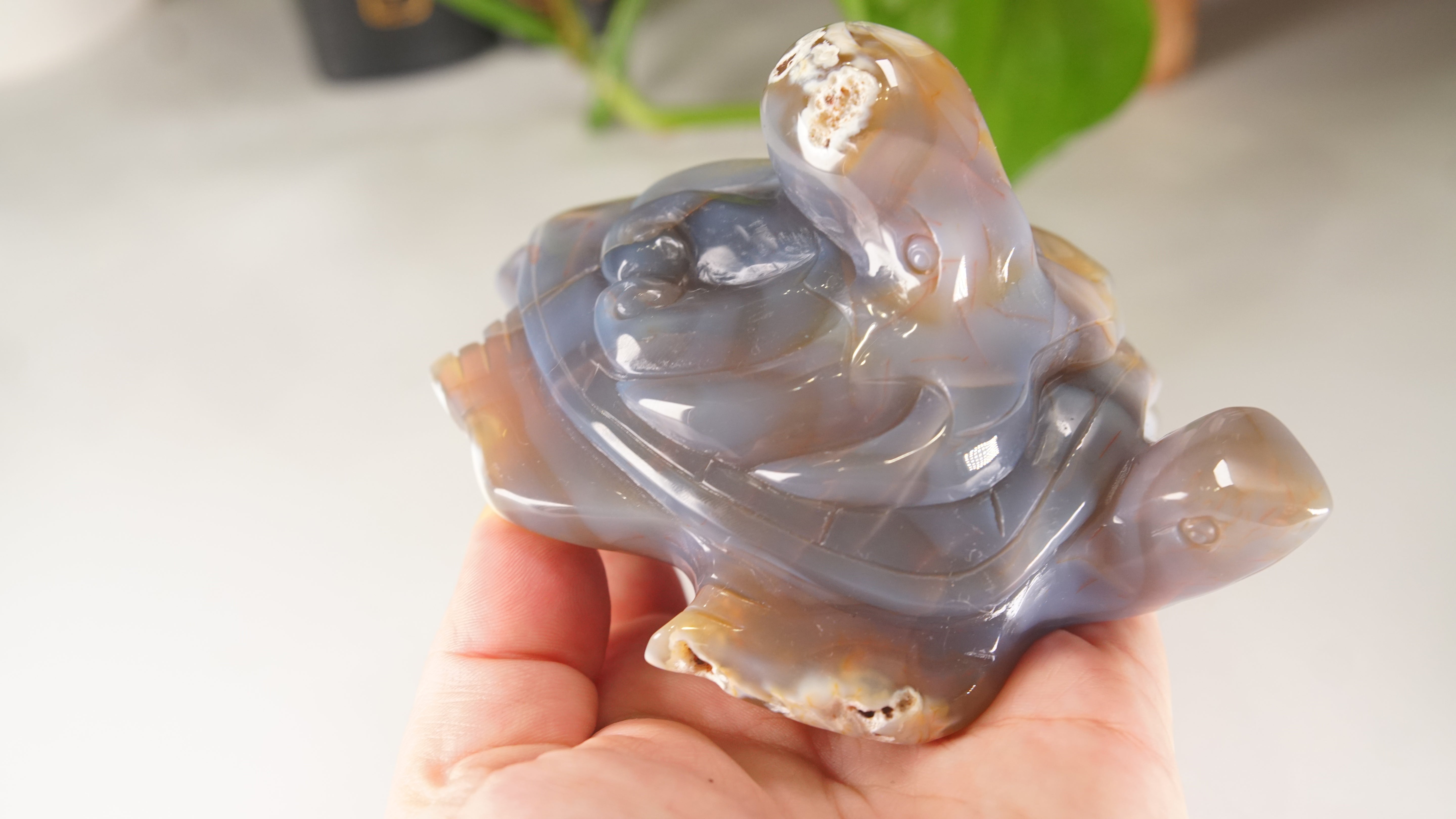 Orca Agate Frog & Octopus Boutique Carvings