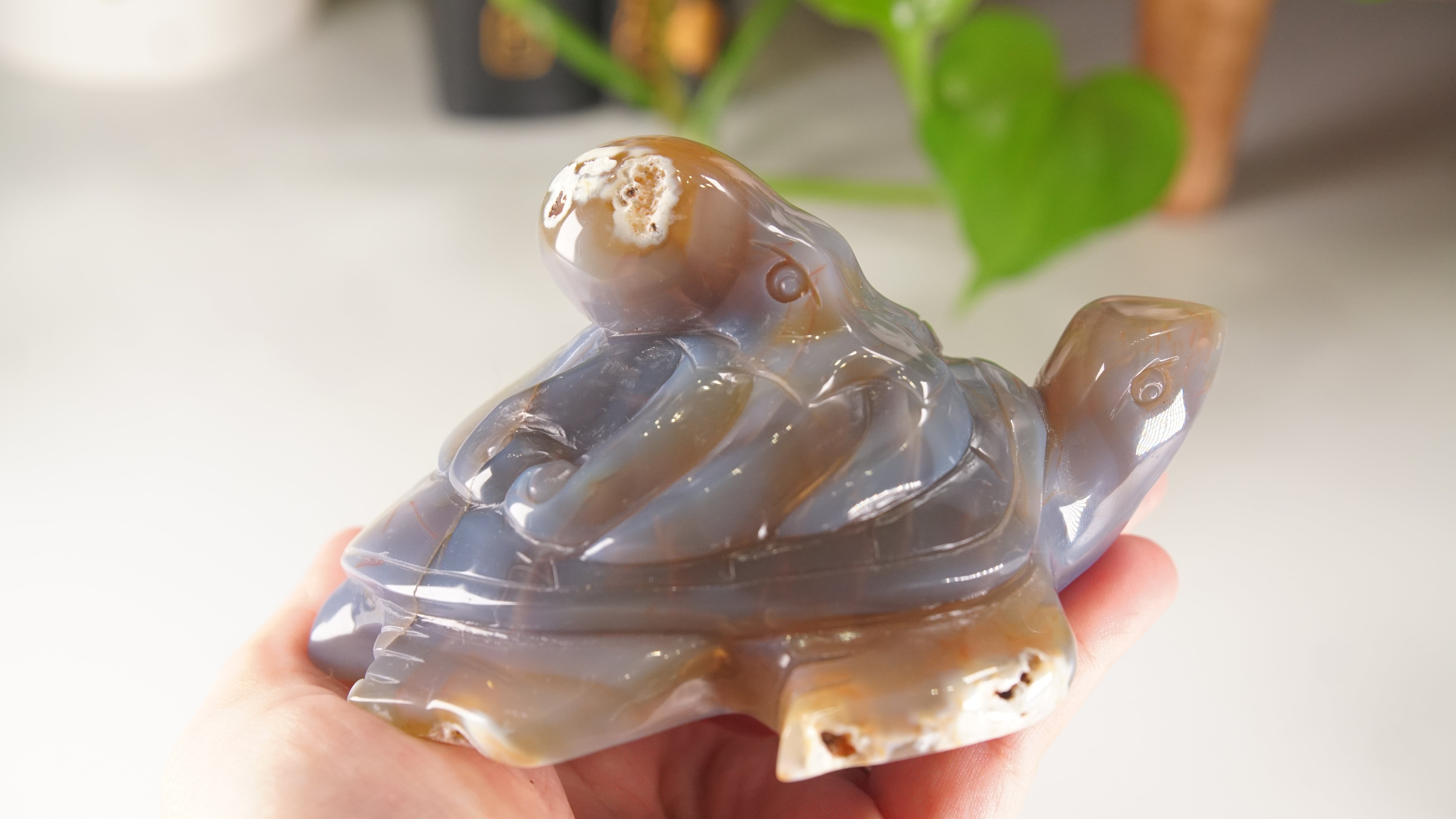 Orca Agate Frog & Octopus Boutique Carvings