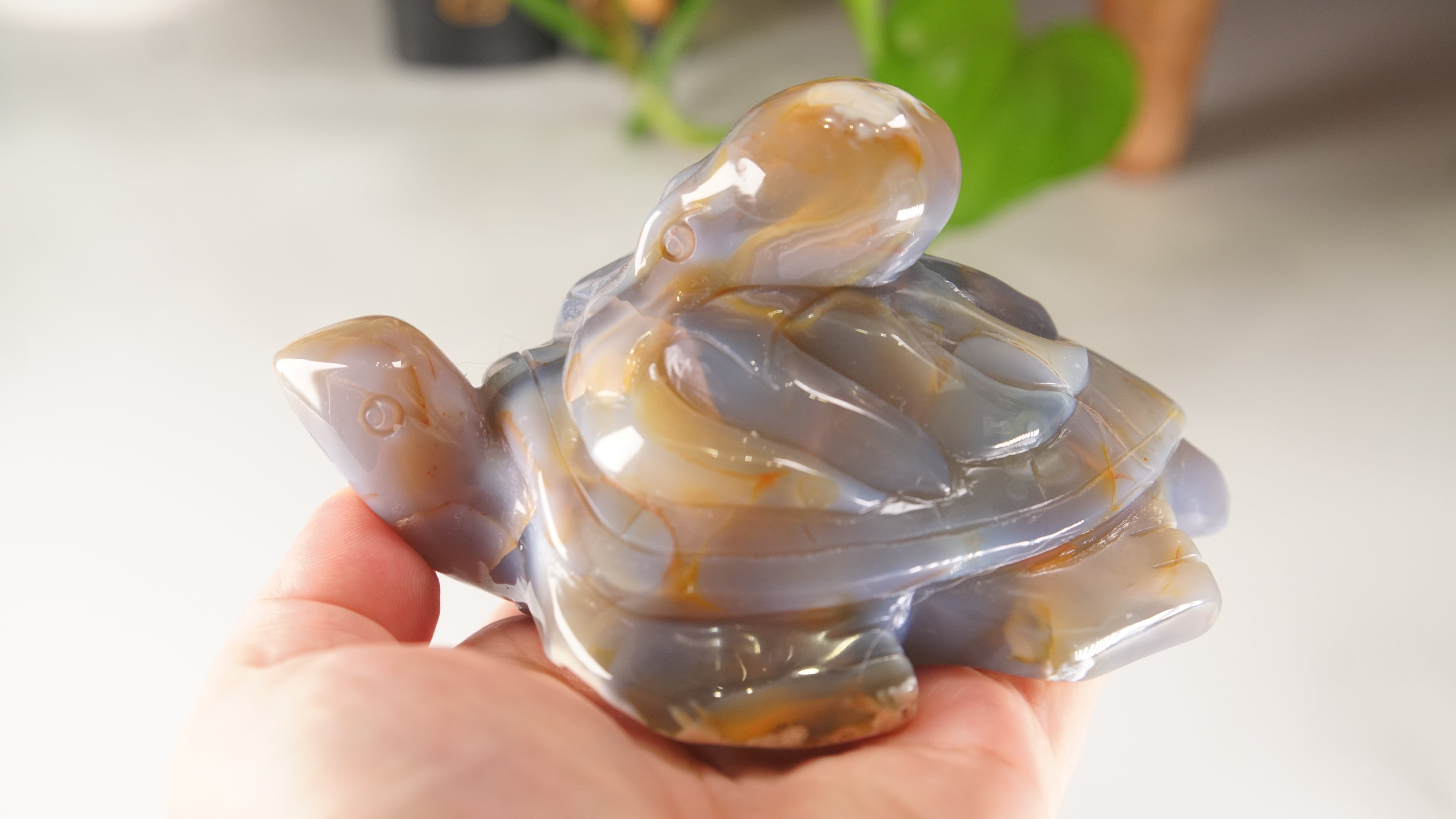 Orca Agate Frog & Octopus Boutique Carvings
