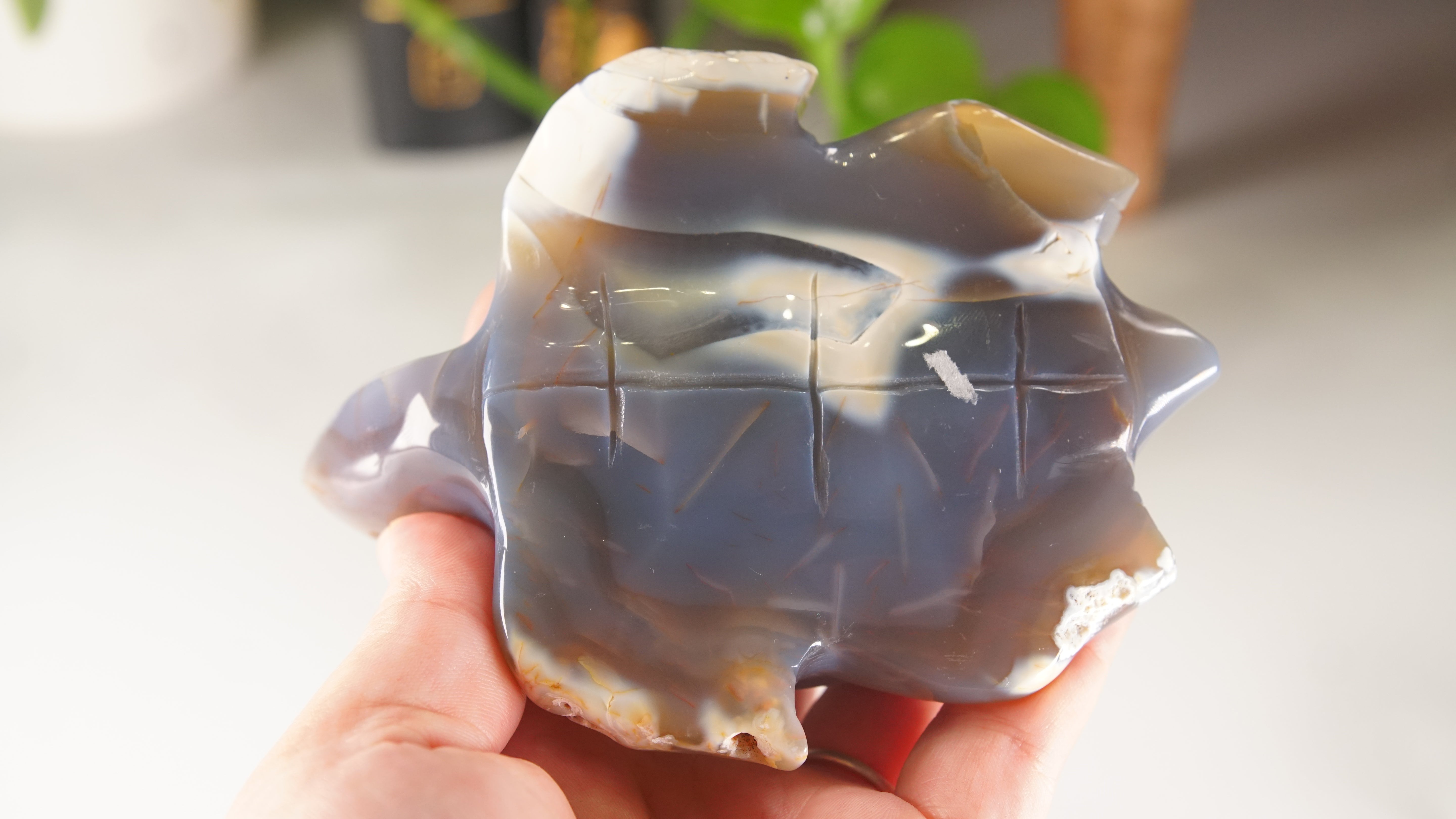 Orca Agate Frog & Octopus Boutique Carvings